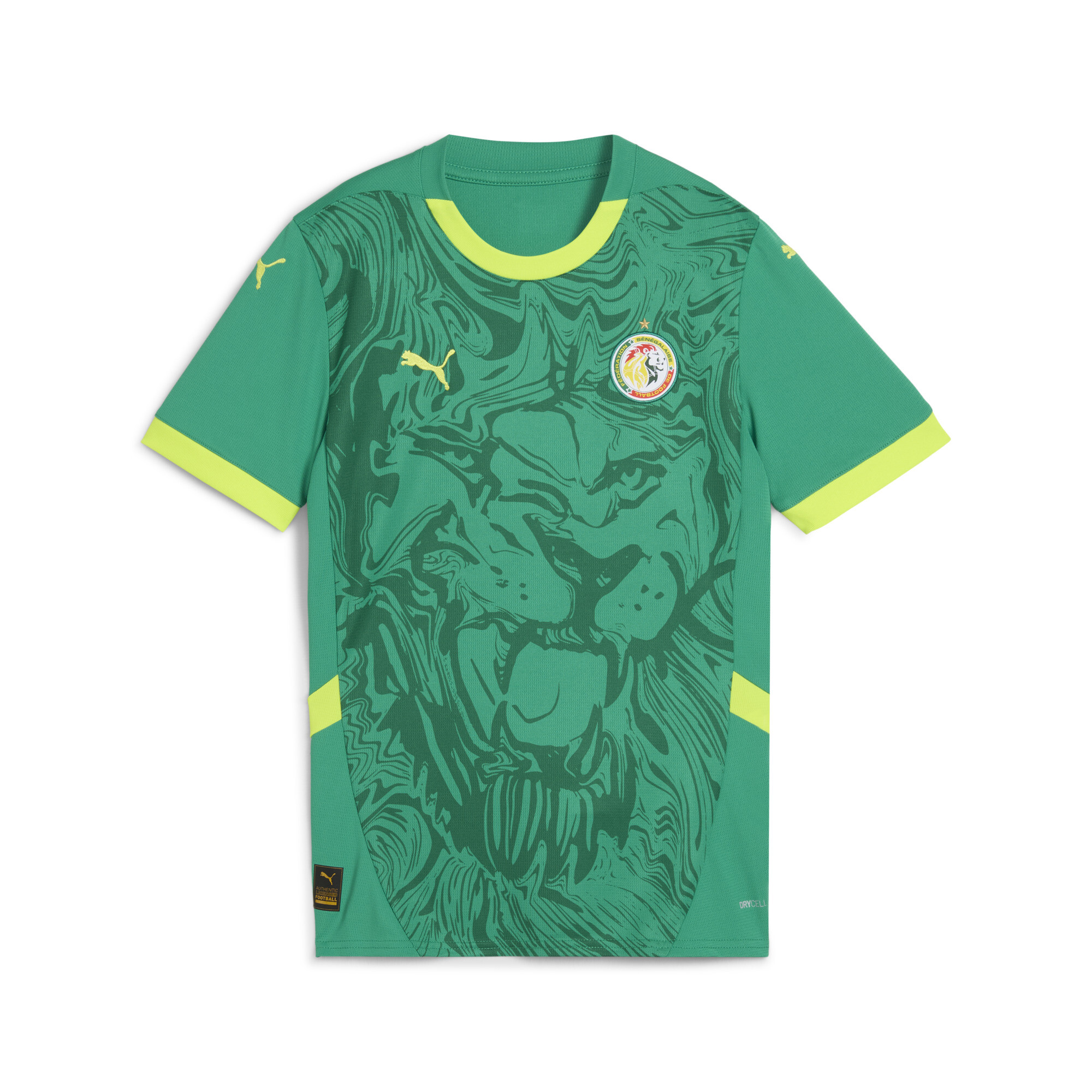 Maillot Sénégal 2025 Extérieur Femme