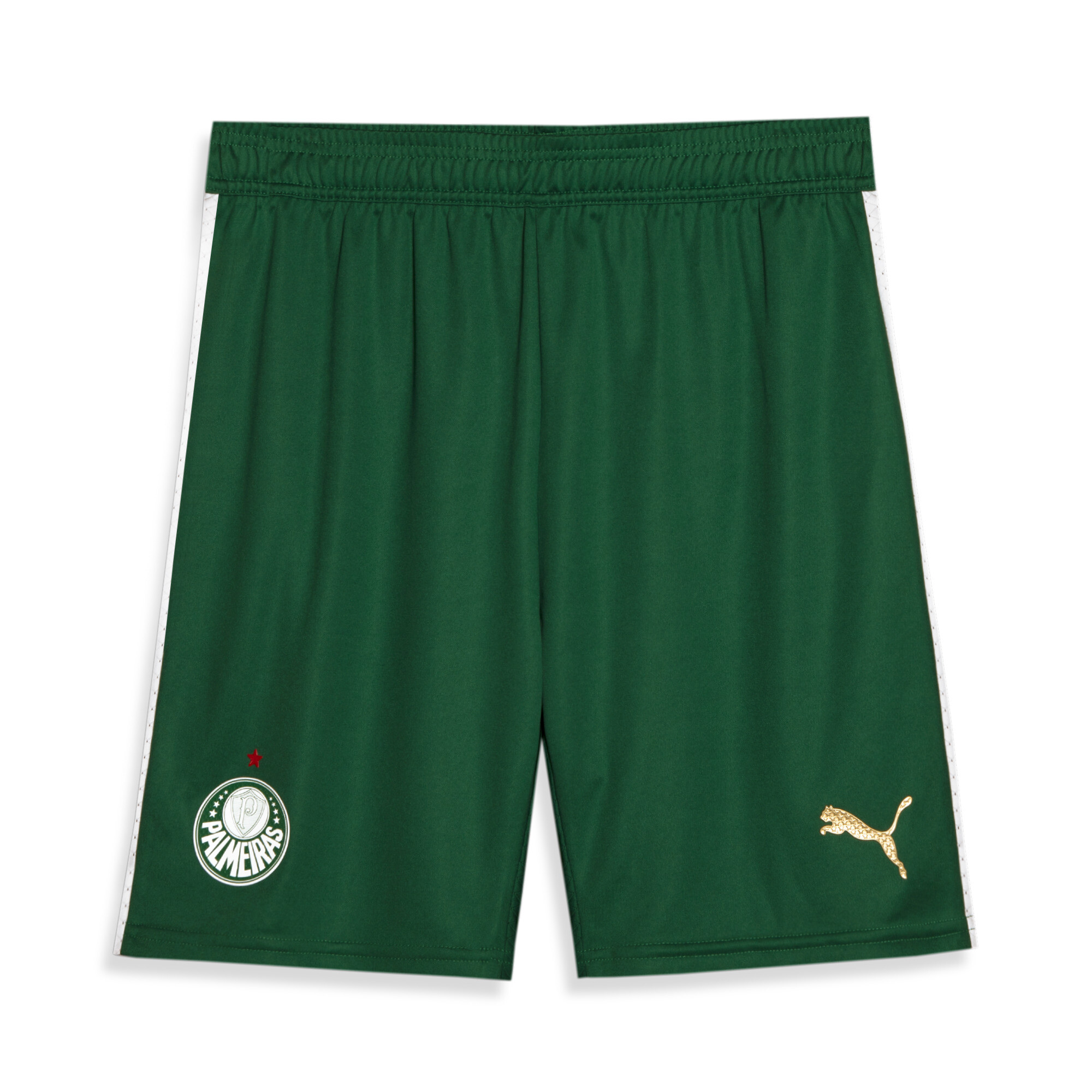 Site da hot sale puma palmeiras