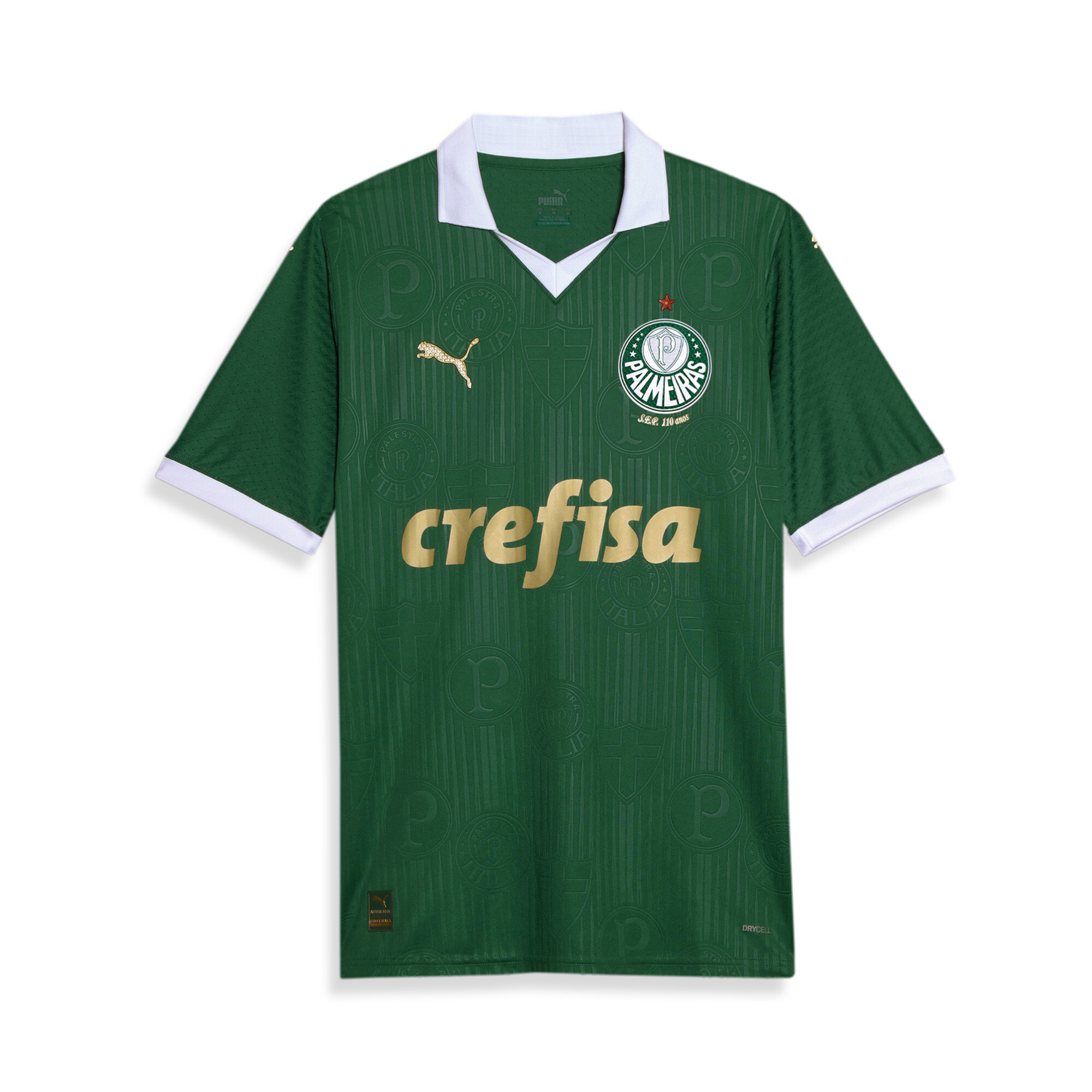 Puma lança camisa do hot sale palmeiras