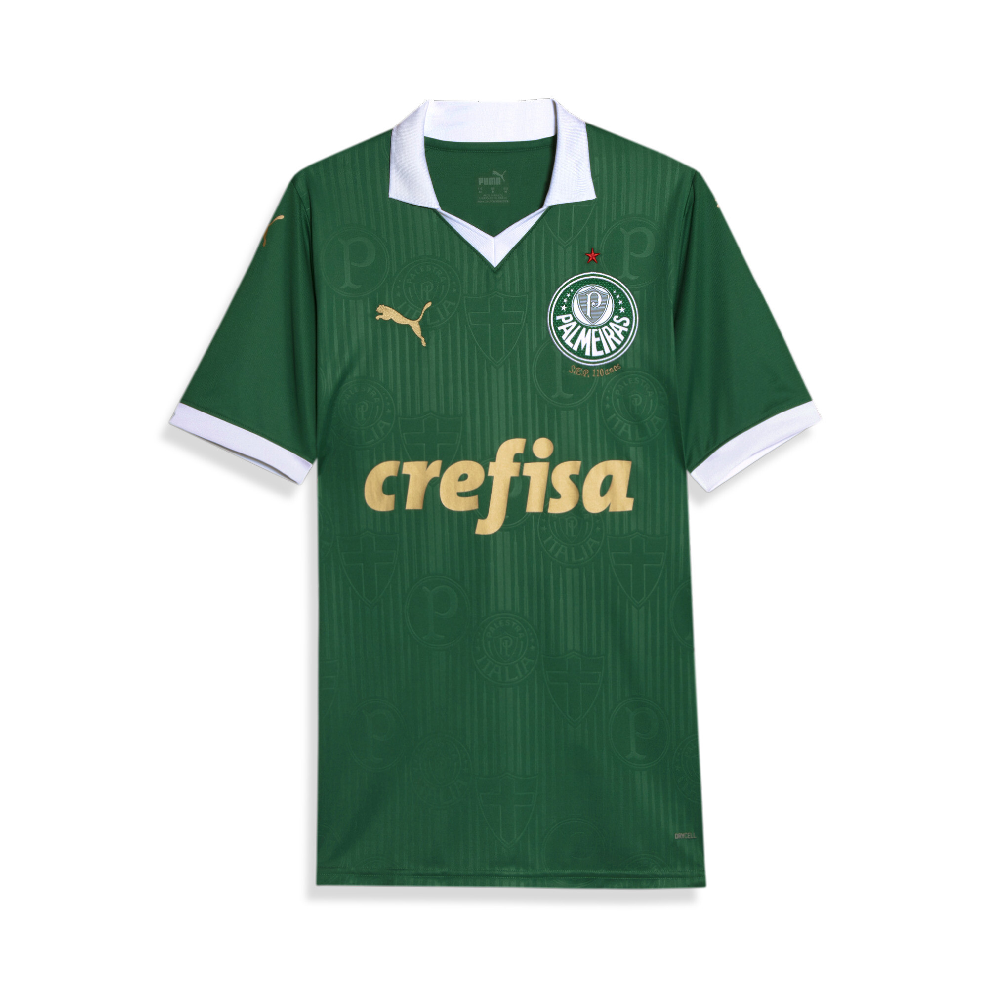 Men's Puma Palmeiras Fans's 2024 Home Jersey, Green, Size L, Clothing