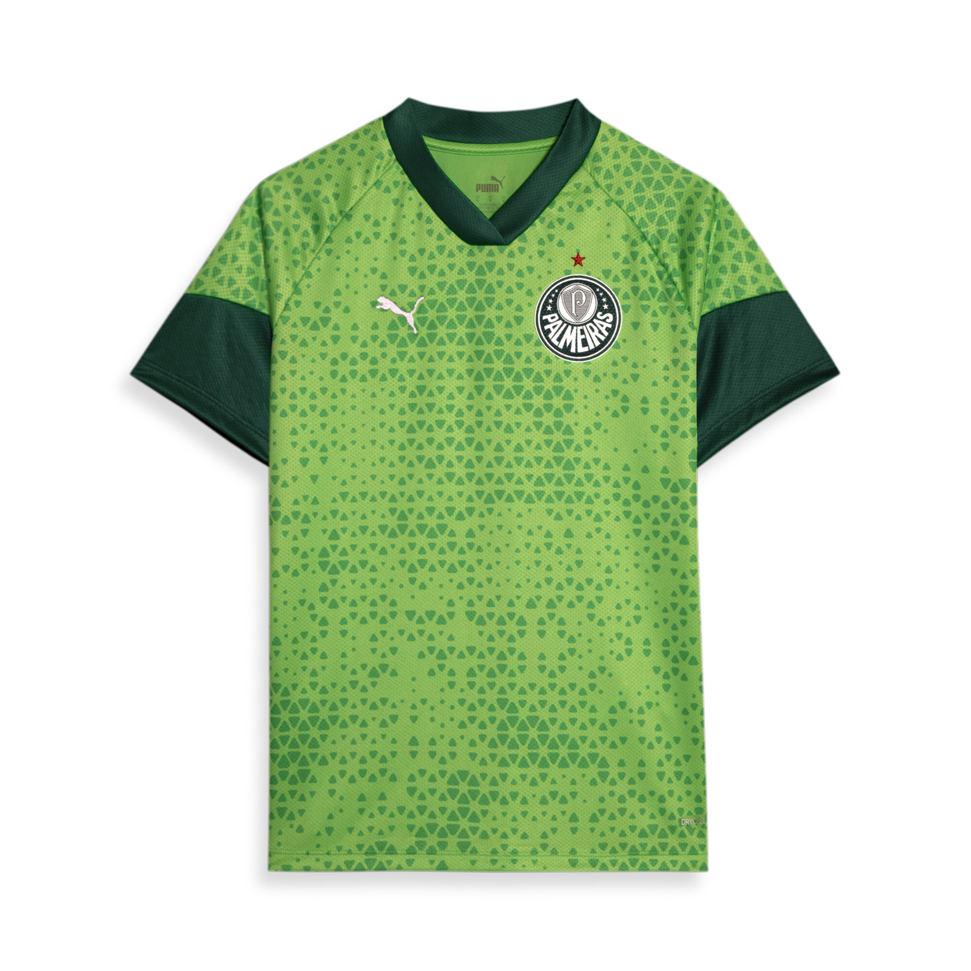 Camiseta Puma Brasil Training SS TEE Feminina 523955-01 - Verde