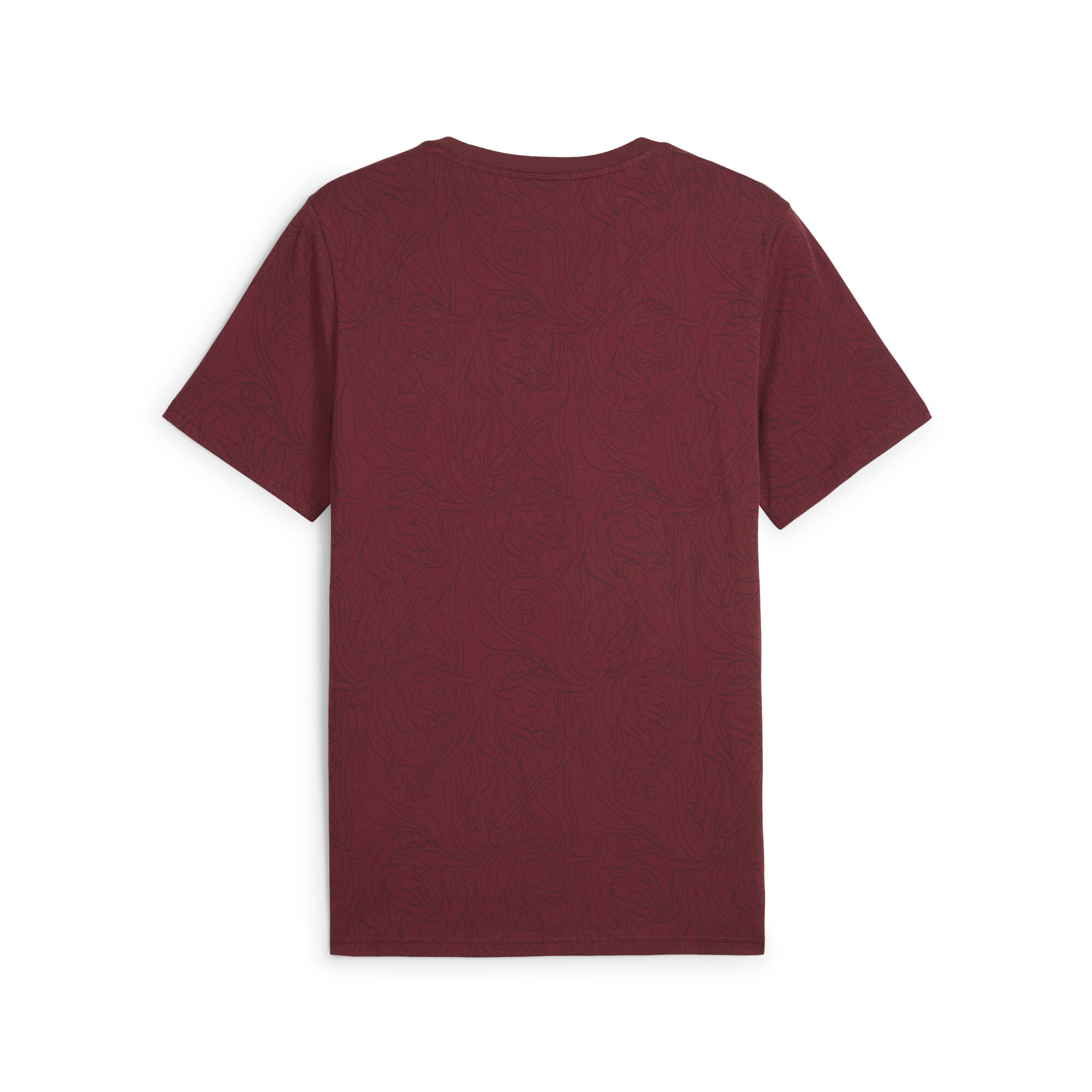 FC Red Bull Salzburg ftblCULTURE T-shirt met all-over-print voor Heren, Grijs/Rood, Maat XXL | PUMA