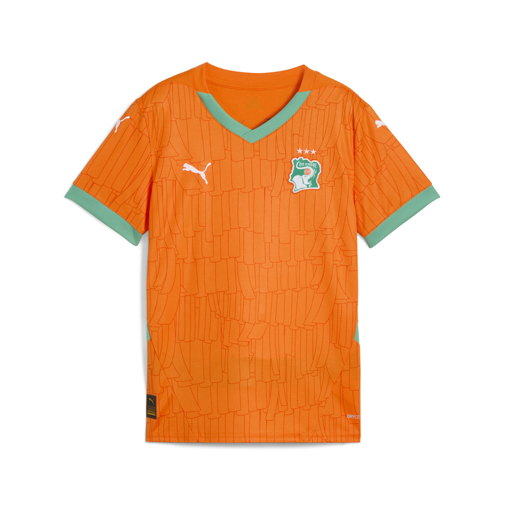 PUMA Ivoorkust 2025 thuisshirt, Oranje, Maat 13-14Y thumbnail 3