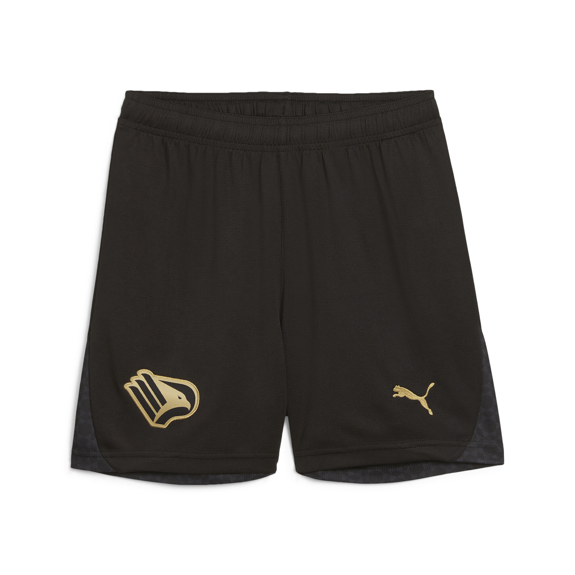 Puma Palermo F.C. 24/25 Auswärtsshorts Teenager Für Für Kinder | Mit Plain | Black/Gold | Größe: 13-14Y