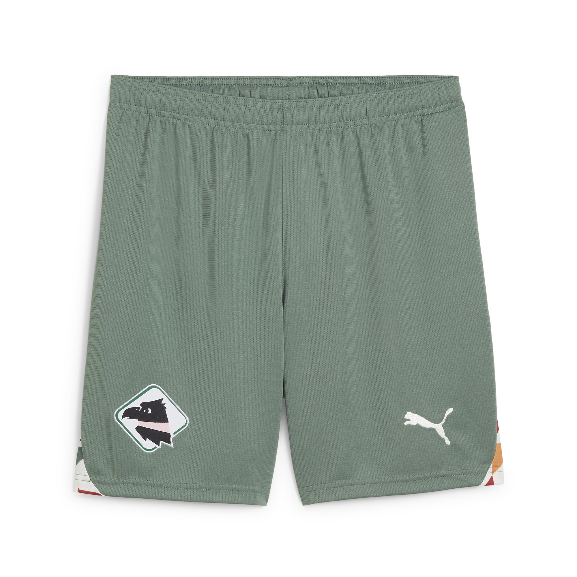 Puma Palermo F.C. 24/25 Ausweichshorts Herren | Mit Plain | Eucalyptus | Größe: XS