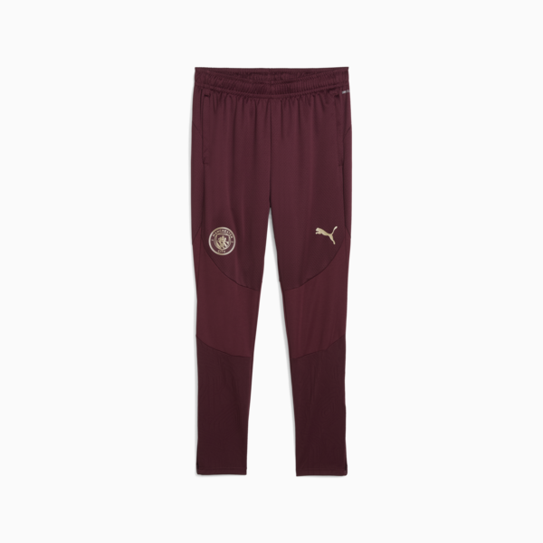 Pantalón de entrenamiento Manchester City para hombre, Dark Jasper, large-ARG