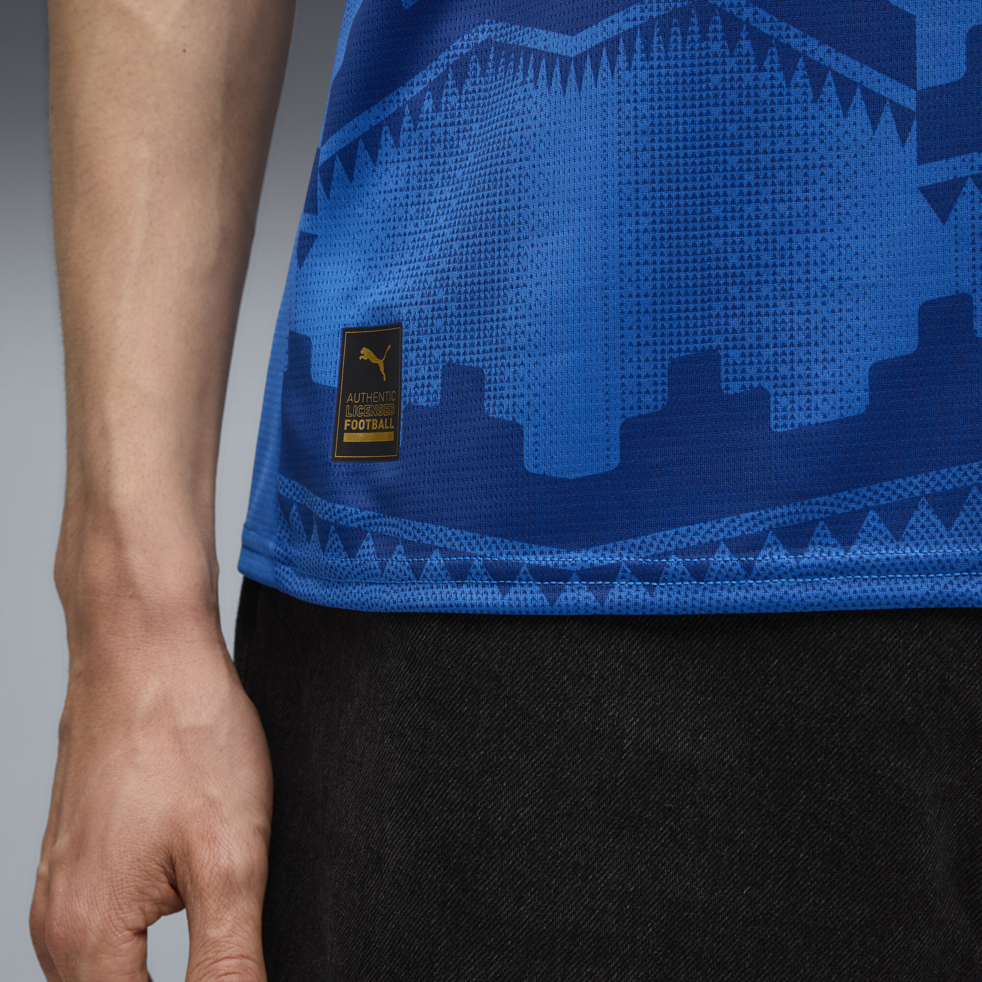 PUMA Al-Hilal SFC 25/26 thuisshirt voor Heren, Blauw, Maat 3XL thumbnail 2