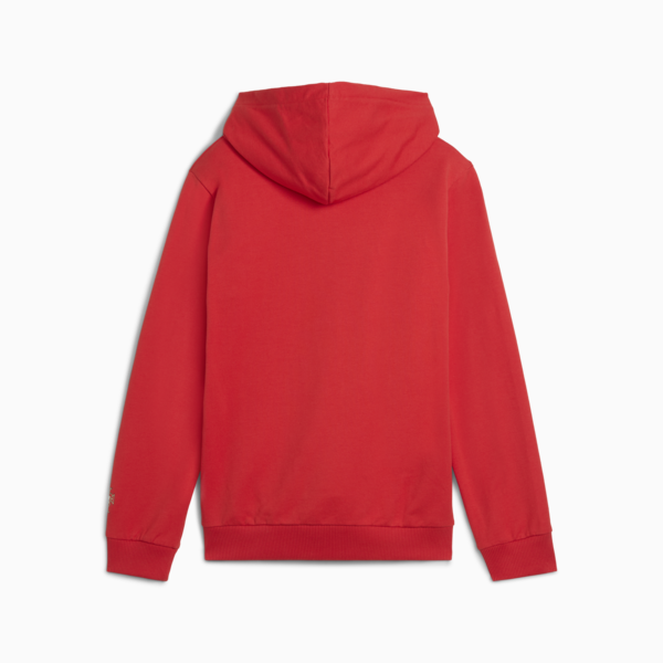 Portugal ftblNRGY Hoodie Youth, Sport Red-PUMA White, large-ZAF