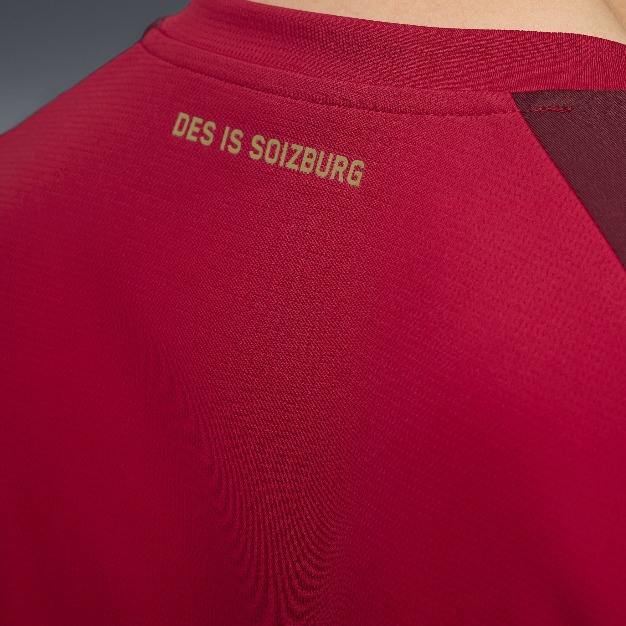 PUMA FC Rood Bull Salzburg 25/26 derde shirt voor Heren, Goud, Maat M thumbnail 2