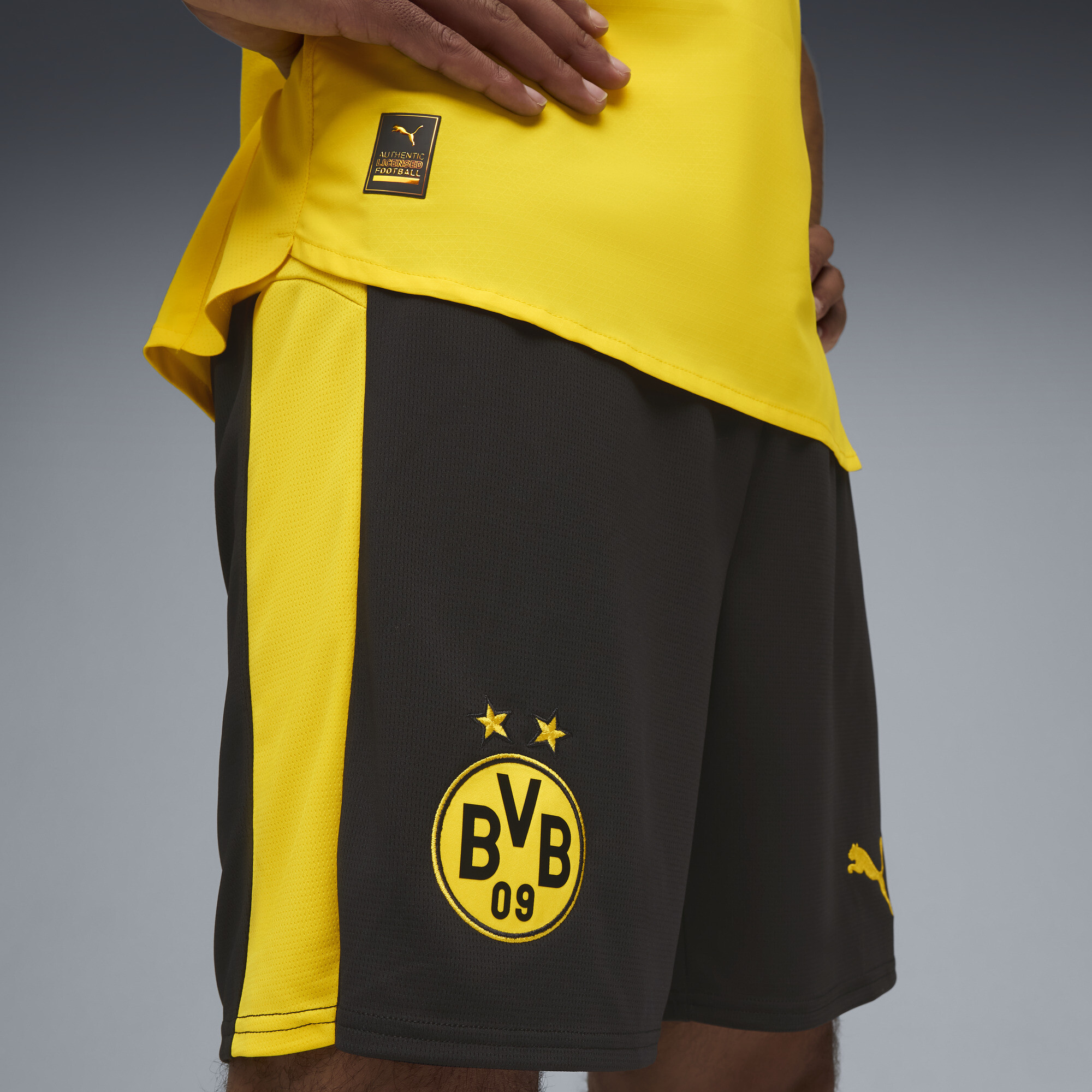 PUMA Borussia Dortmund 25/26 short voor Heren, Zwart/Geel, Maat M thumbnail 5