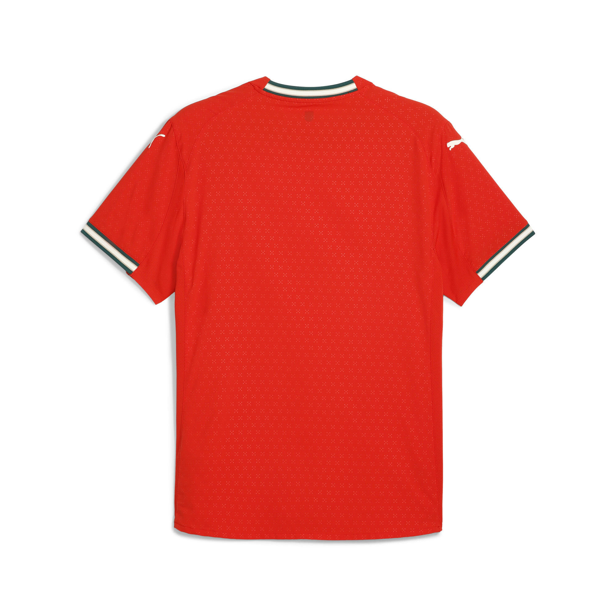 PUMA Portugal Thuisshirt Authentic 2025-2026