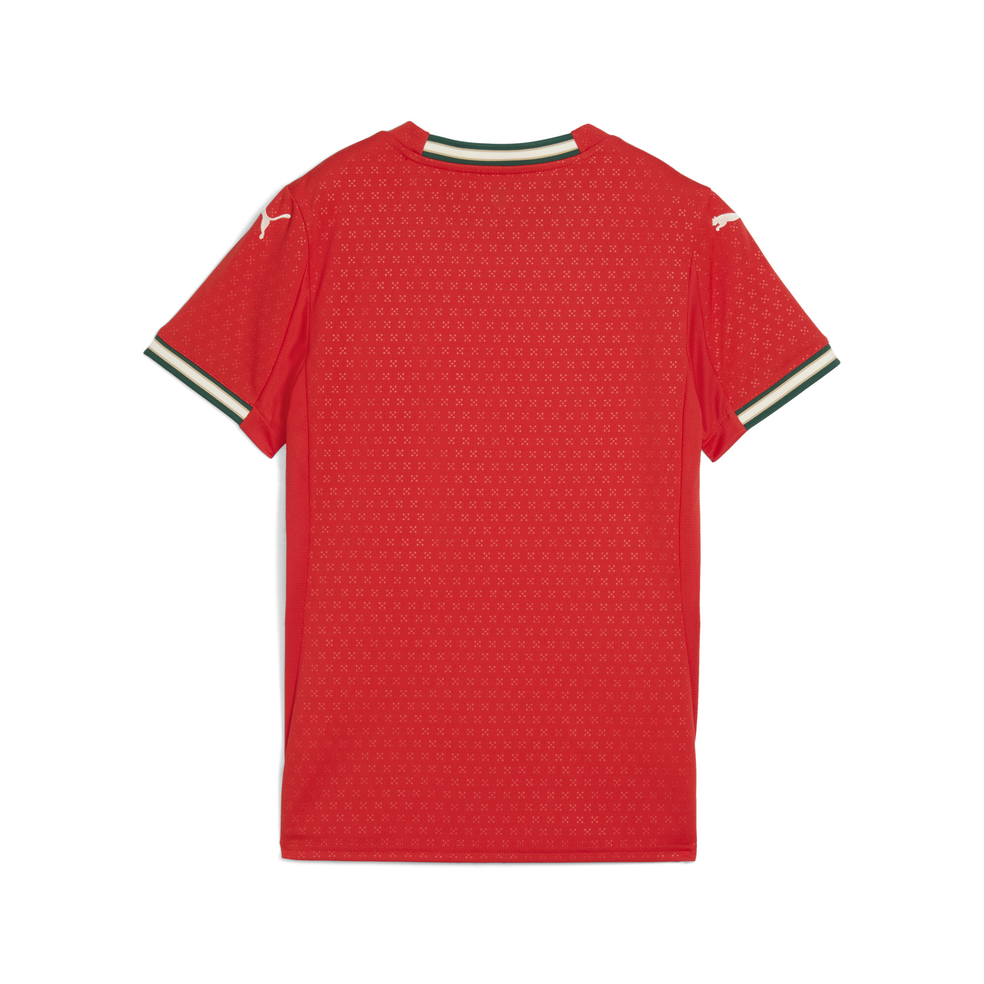 Portugal 2025 thuisshirt voor Dames, Rood/Bruin, Maat M | PUMA