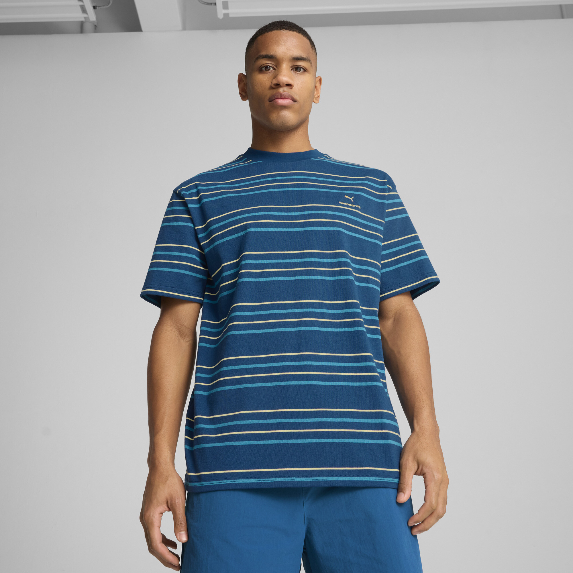 Puma Manchester City MMQ Gestreiftes T-Shirt Herren | Mit Striped | Sailing Blue/Tropical Blue | Größe: M