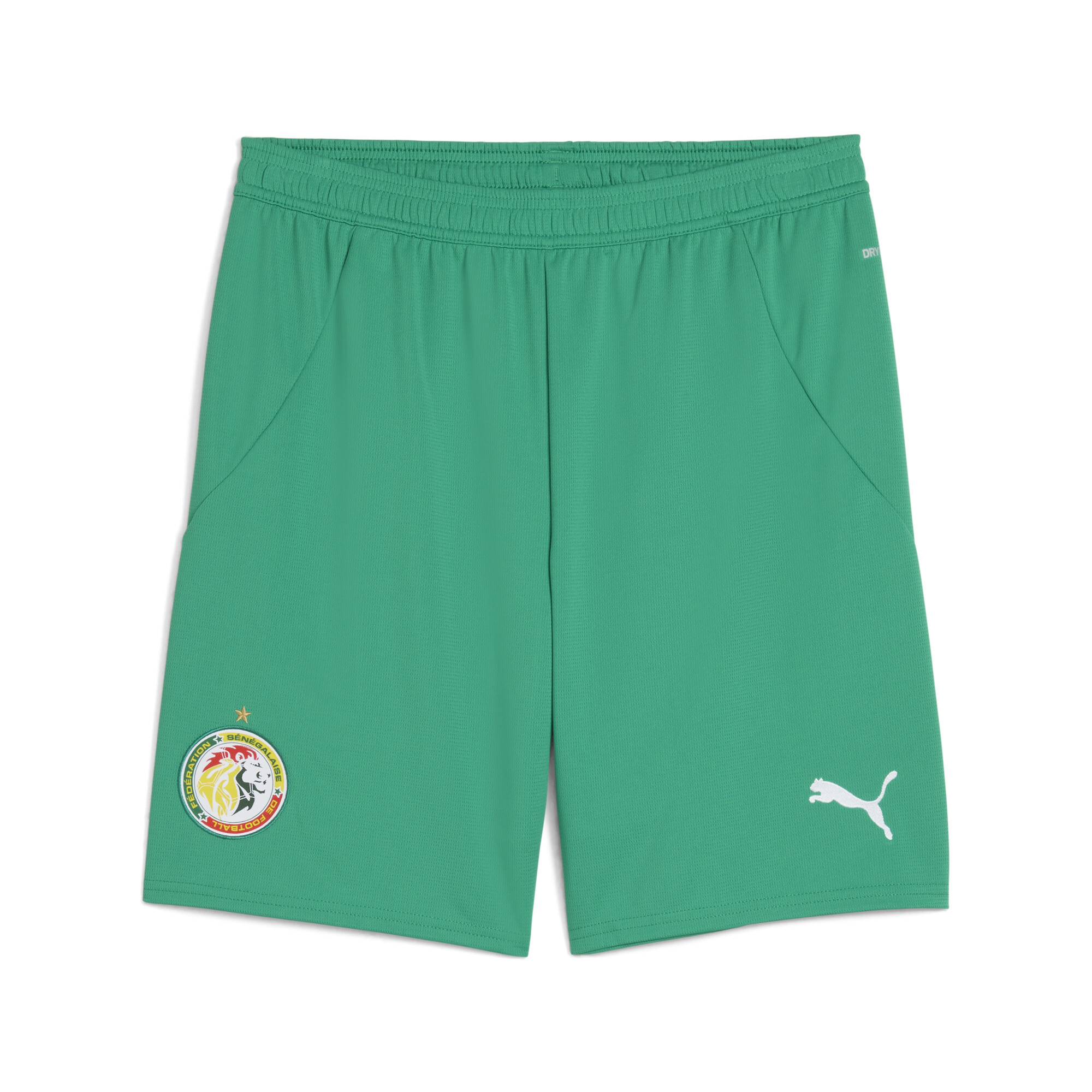 PUMA Senegal 2025 short voor Heren, Groen/Wit, Maat XXL thumbnail 3