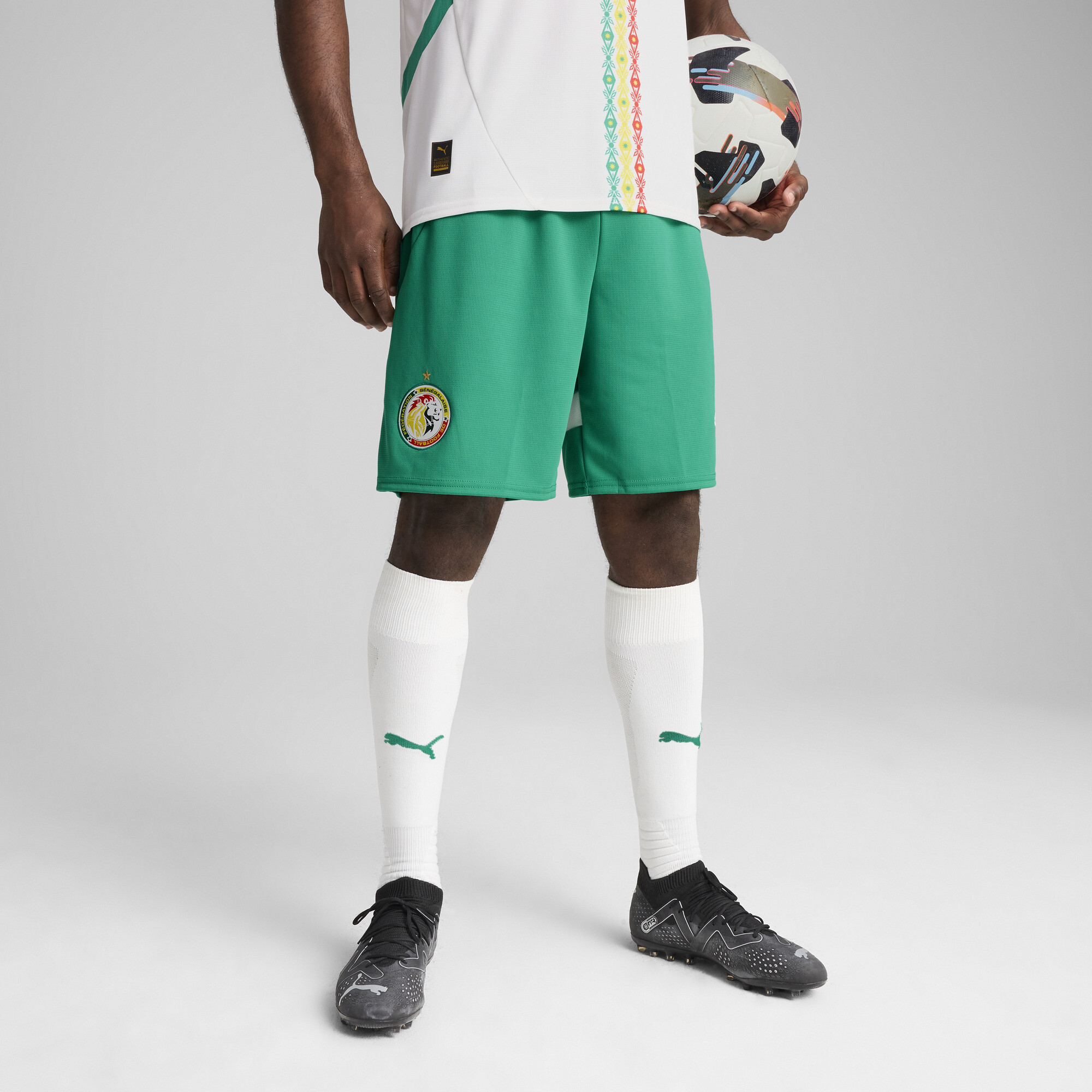 Puma Senegal 2025 Shorts Herren | Mit Color Blocking | Sport Green/White | Größe: L