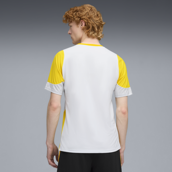 Camiseta de entrenamiento Borussia Dortmund para hombre, Silver Mist-Faster Yellow, large-ARG