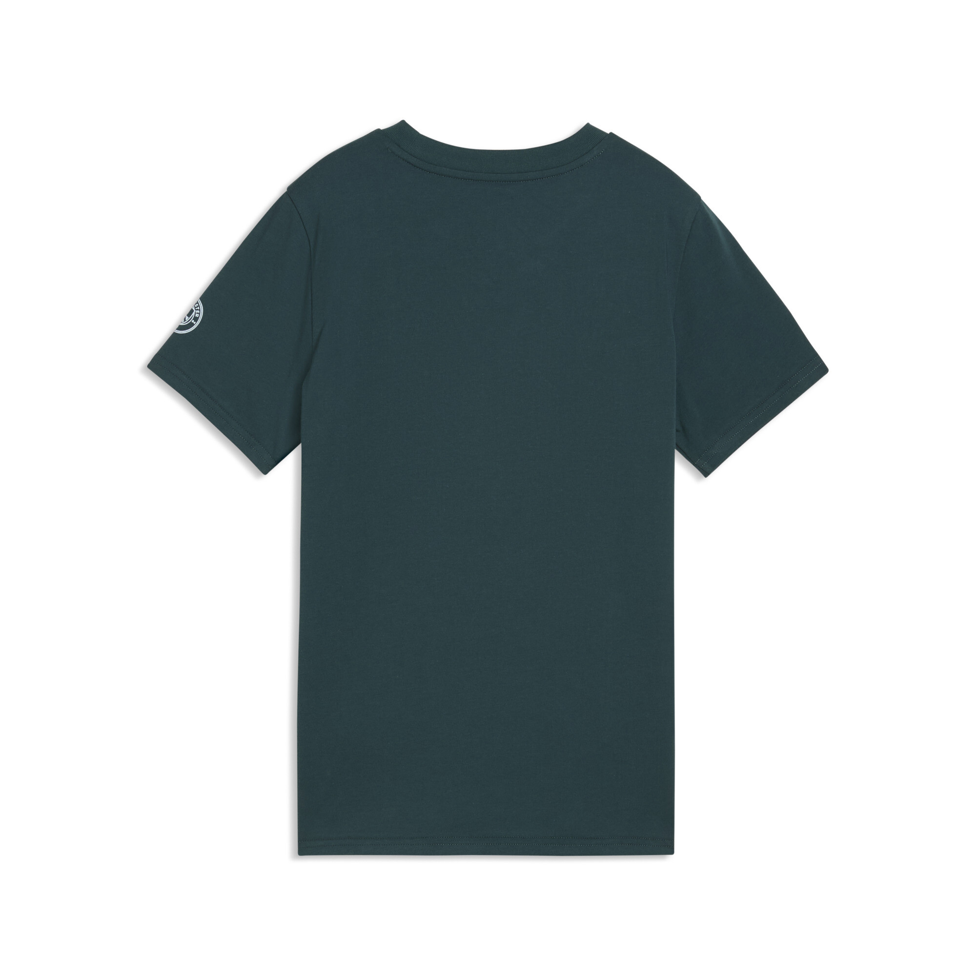 PUMA Manchester City FtblCulture T-shirt, Groen, Maat 7-8Y thumbnail 2