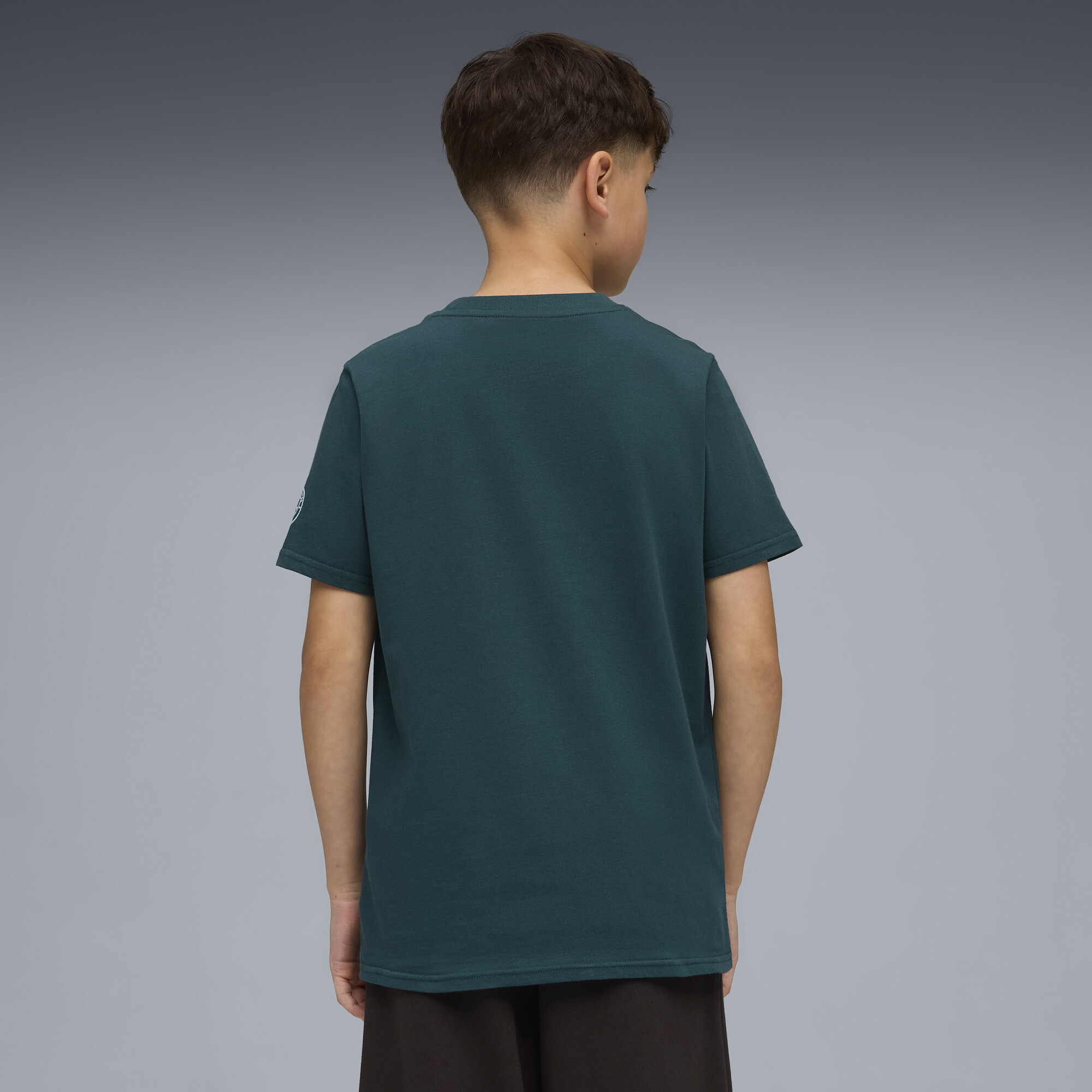 PUMA Manchester City FtblCulture T-shirt, Groen, Maat 7-8Y thumbnail 4