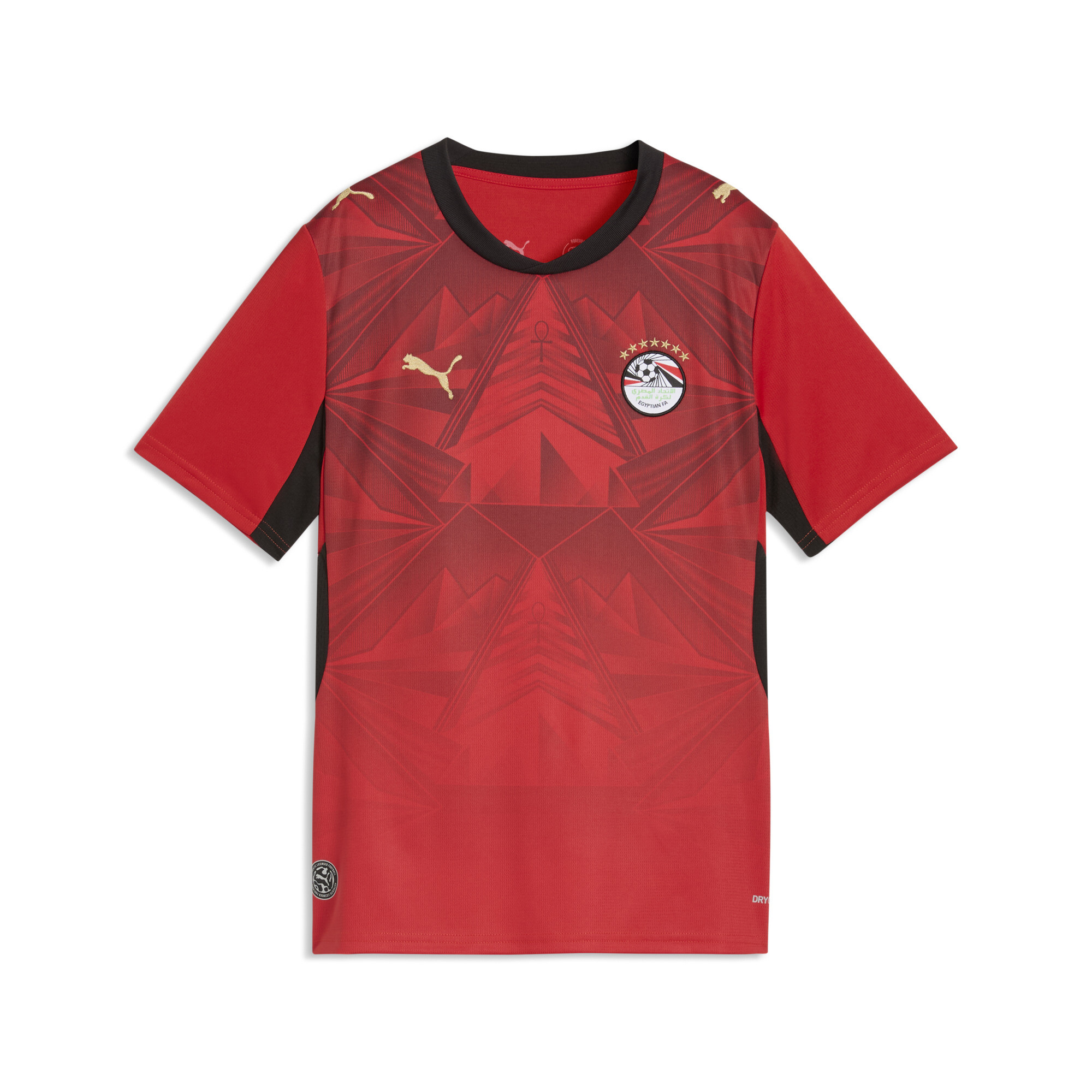 PUMA Maillot Home 2026Égypte Enfant et Adolescent Accessoires 13 14Y - vue 1