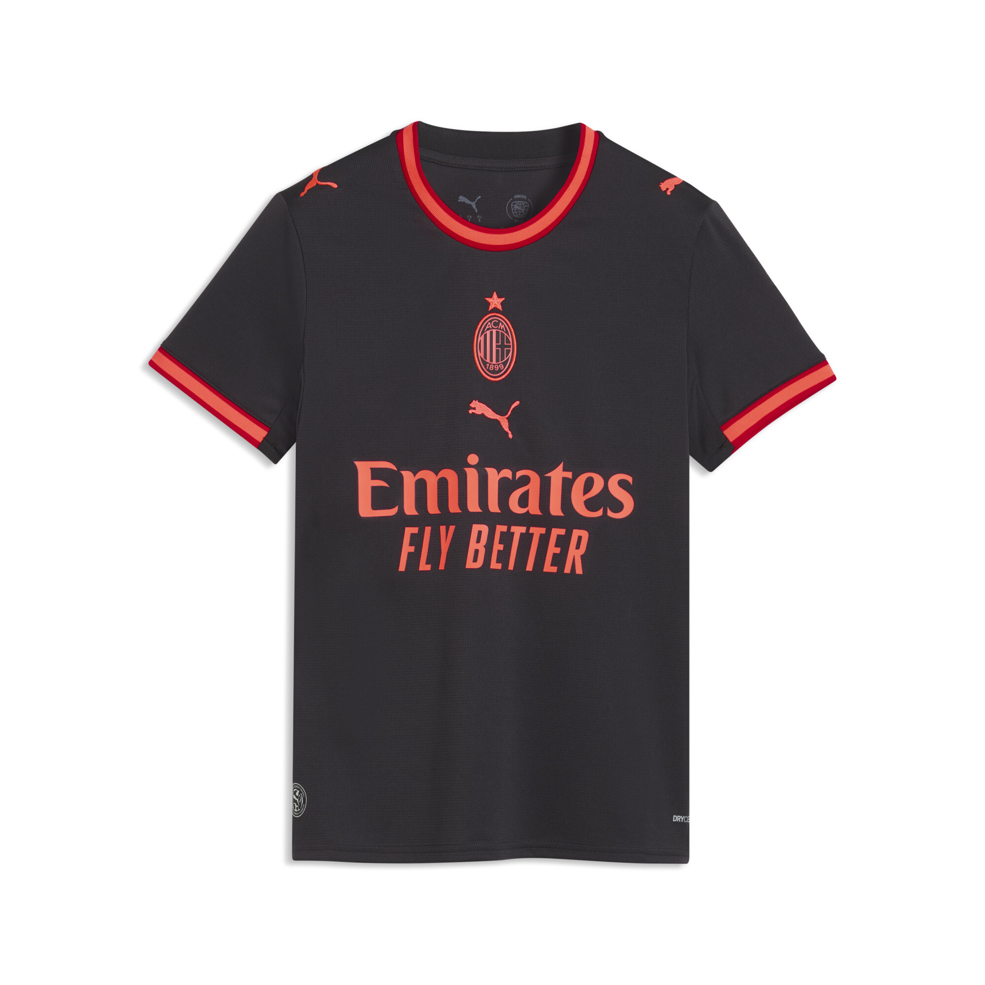 PUMA Maillot Third 2627 AC Milan Femme Accessoires Gris L 100 €