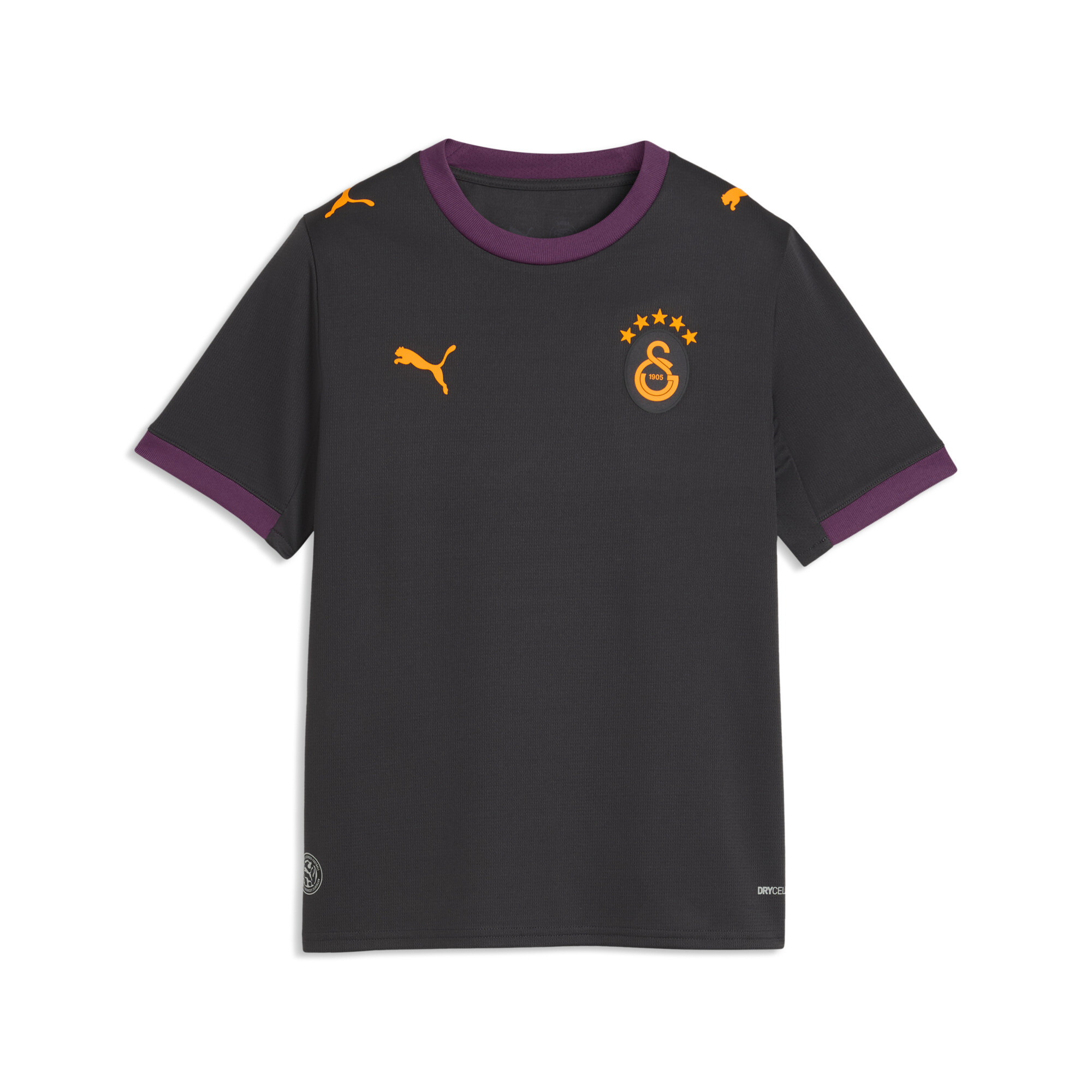 PUMA Maillot Away 2627 Galatasaray SK Enfant et Adolescent Accessoires Gris 5-6Y 80$