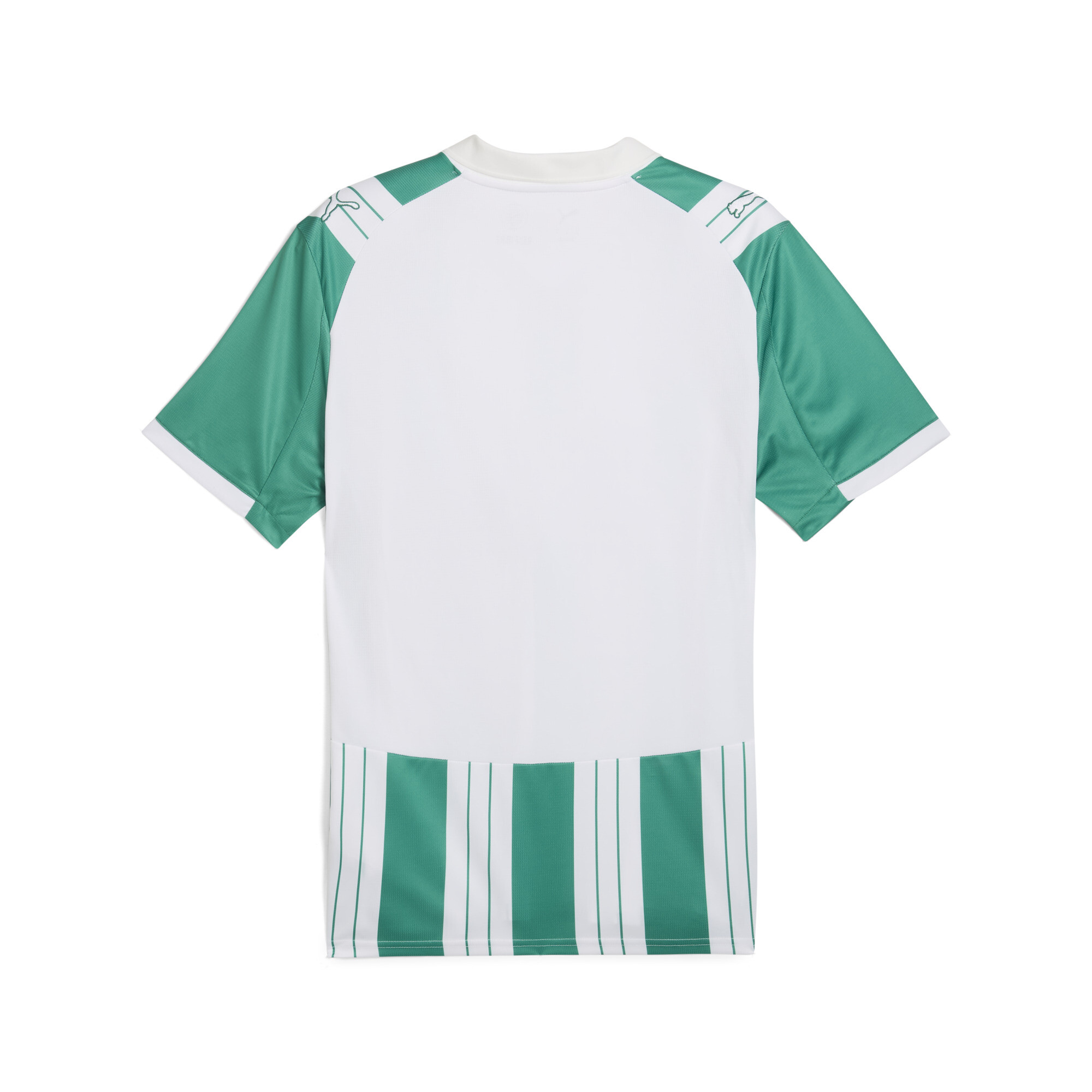PUMA SK Rapid Wien 25/26 thuisshirt voor Heren, Groen/Wit, Maat XL thumbnail 5