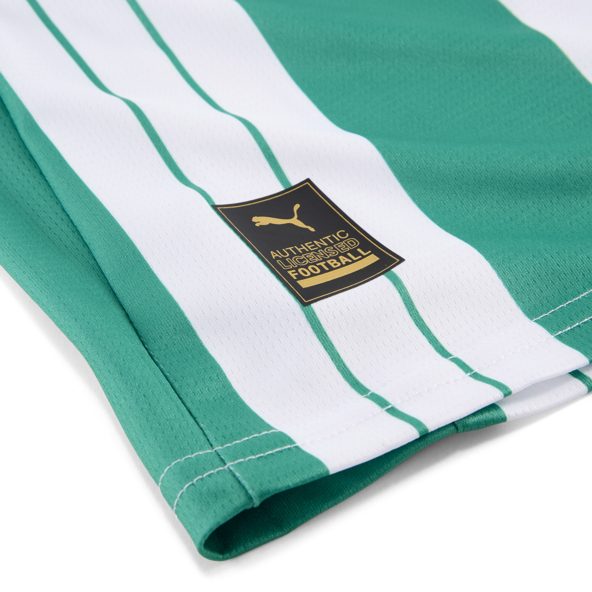 PUMA SK Rapid Wien 25/26 thuisshirt voor Heren, Groen/Wit, Maat XL thumbnail 3