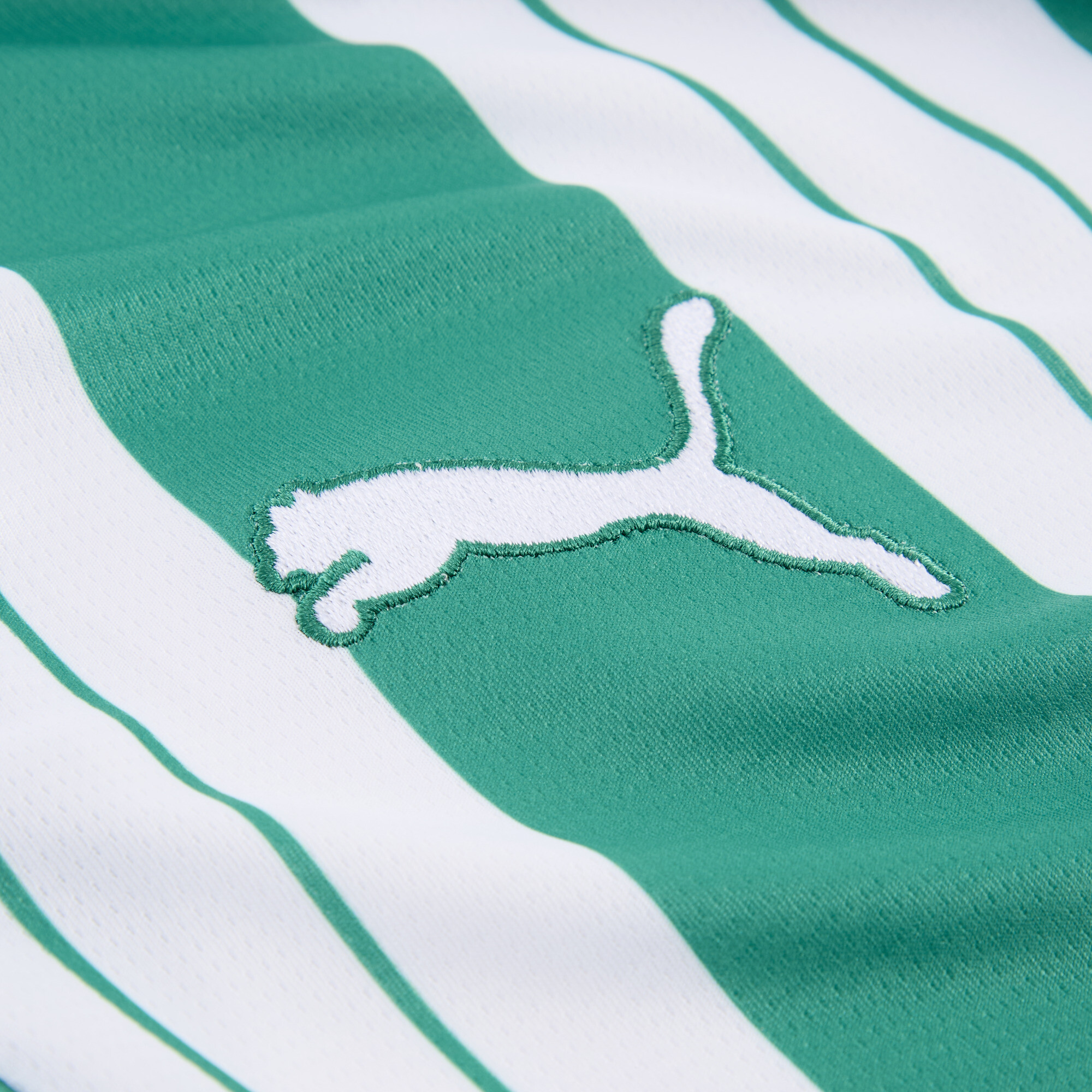 PUMA SK Rapid Wien 25/26 thuisshirt voor Heren, Groen/Wit, Maat XL thumbnail 2