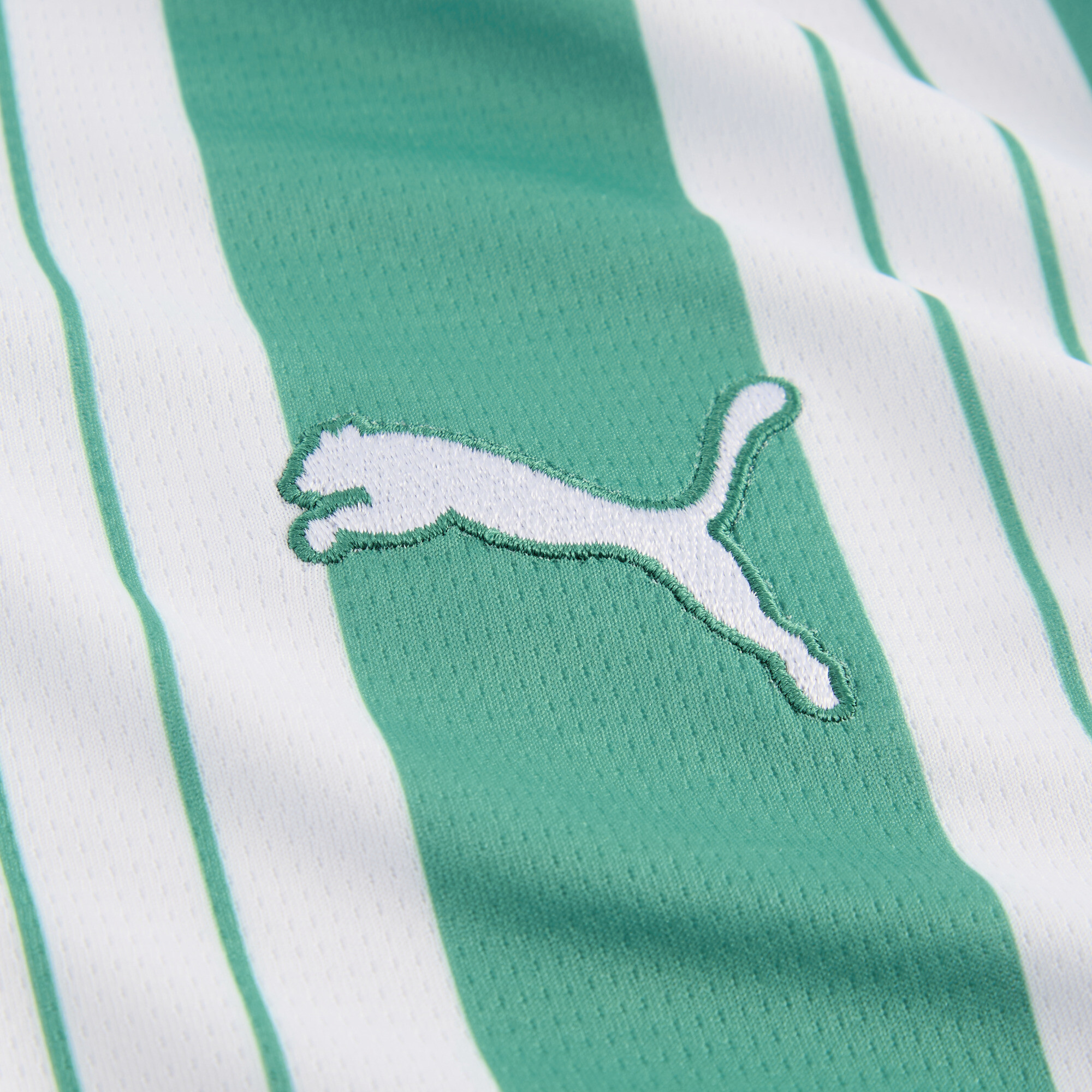 PUMA SK Rapid Wien 25/26 thuisshirt, Groen/Wit, Maat 4-5Y thumbnail 2