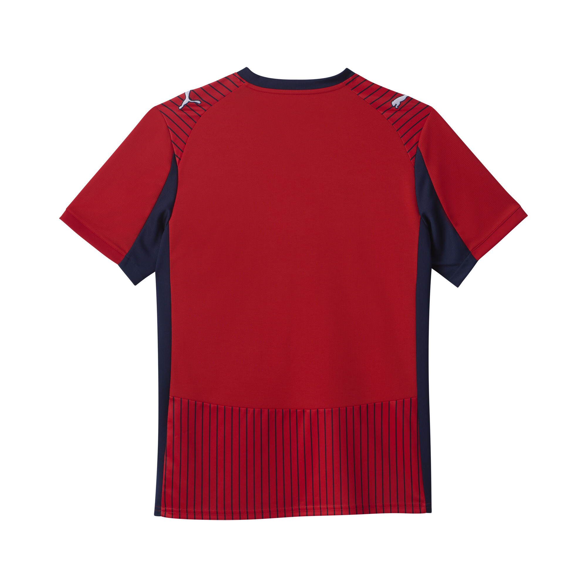 PUMA SK Rapid Wien 25/26 uitshirt voor Heren, Blauw/Rood, Maat 3XL thumbnail 2