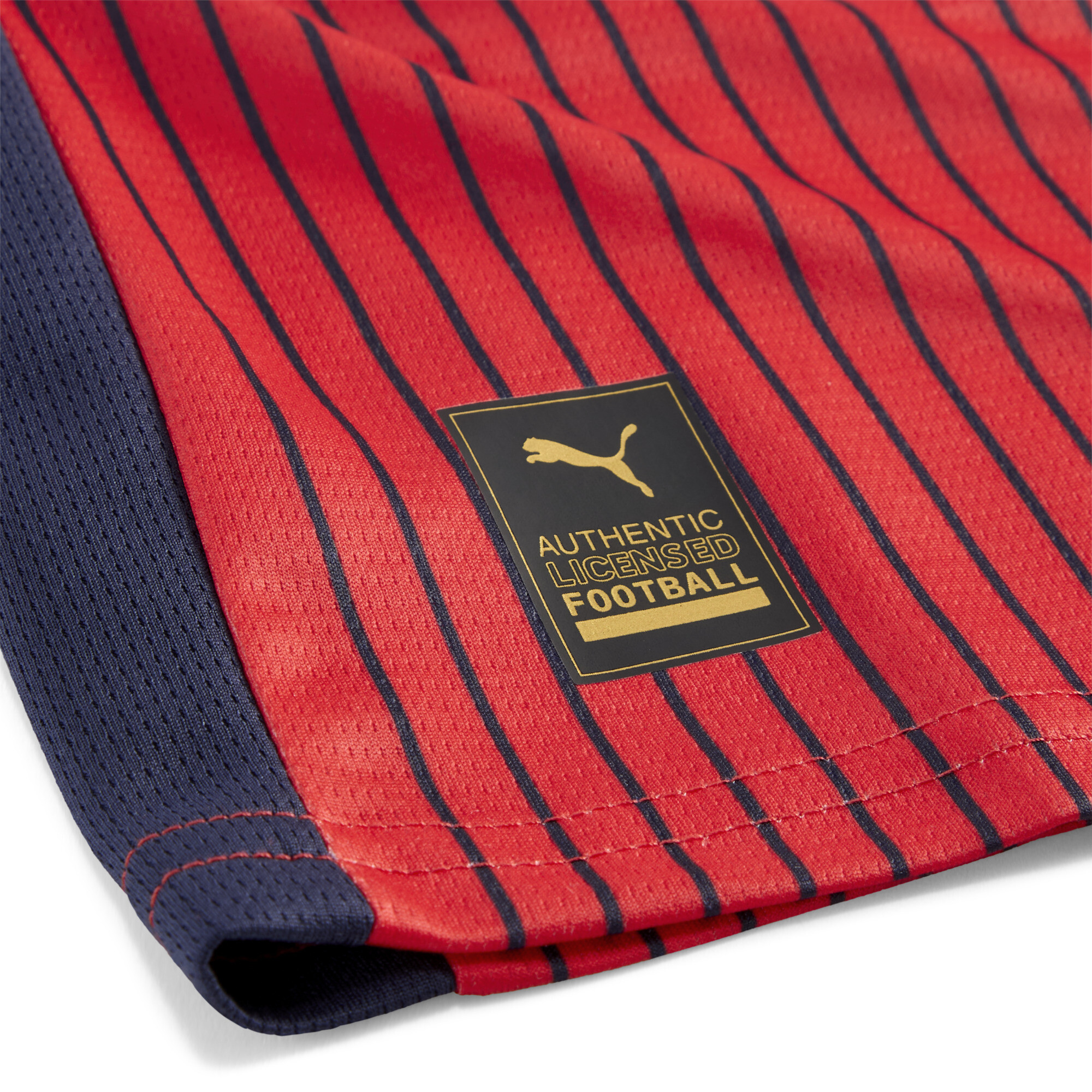 PUMA SK Rapid Wien 25/26 uitshirt, Blauw/Rood, Maat 5-6Y thumbnail 3