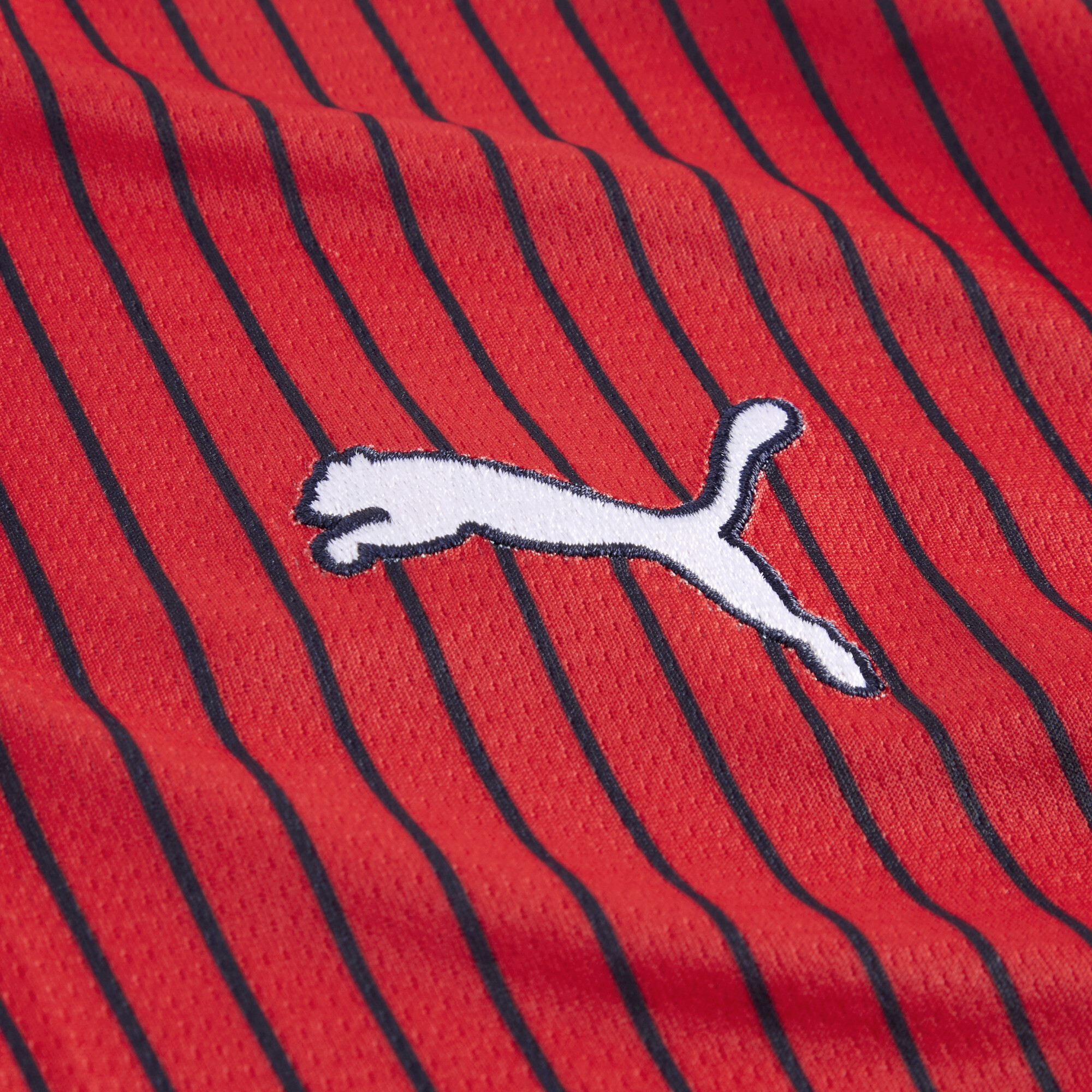 PUMA SK Rapid Wien 25/26 uitshirt, Blauw/Rood, Maat 5-6Y thumbnail 2