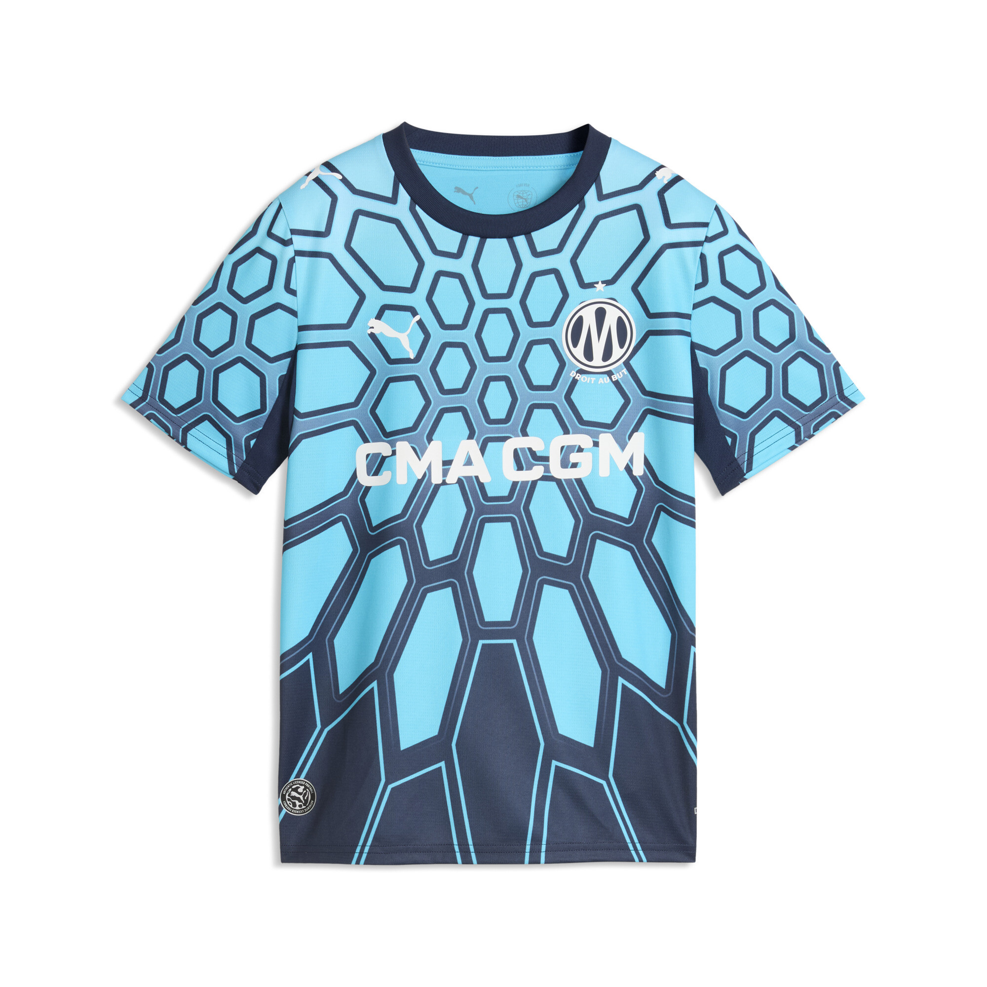 PUMA Maillot de gardien 2627 Olympique de Marseille Enfant et Adolescent Accessoires Bleu 11-12Y 80$