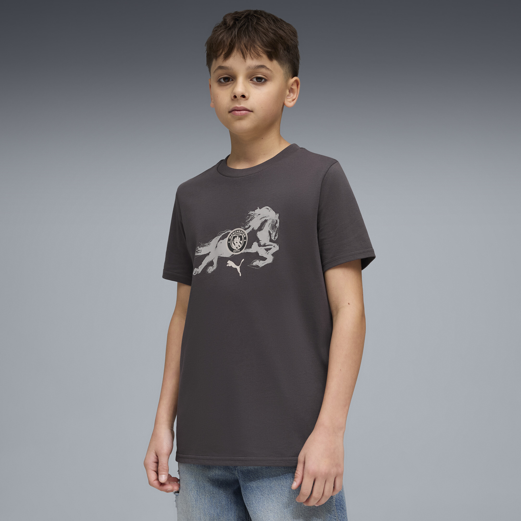 PUMA Manchester City x Year of the Horse Big Kids' Soccer T-Shirt in Grey, Size XS