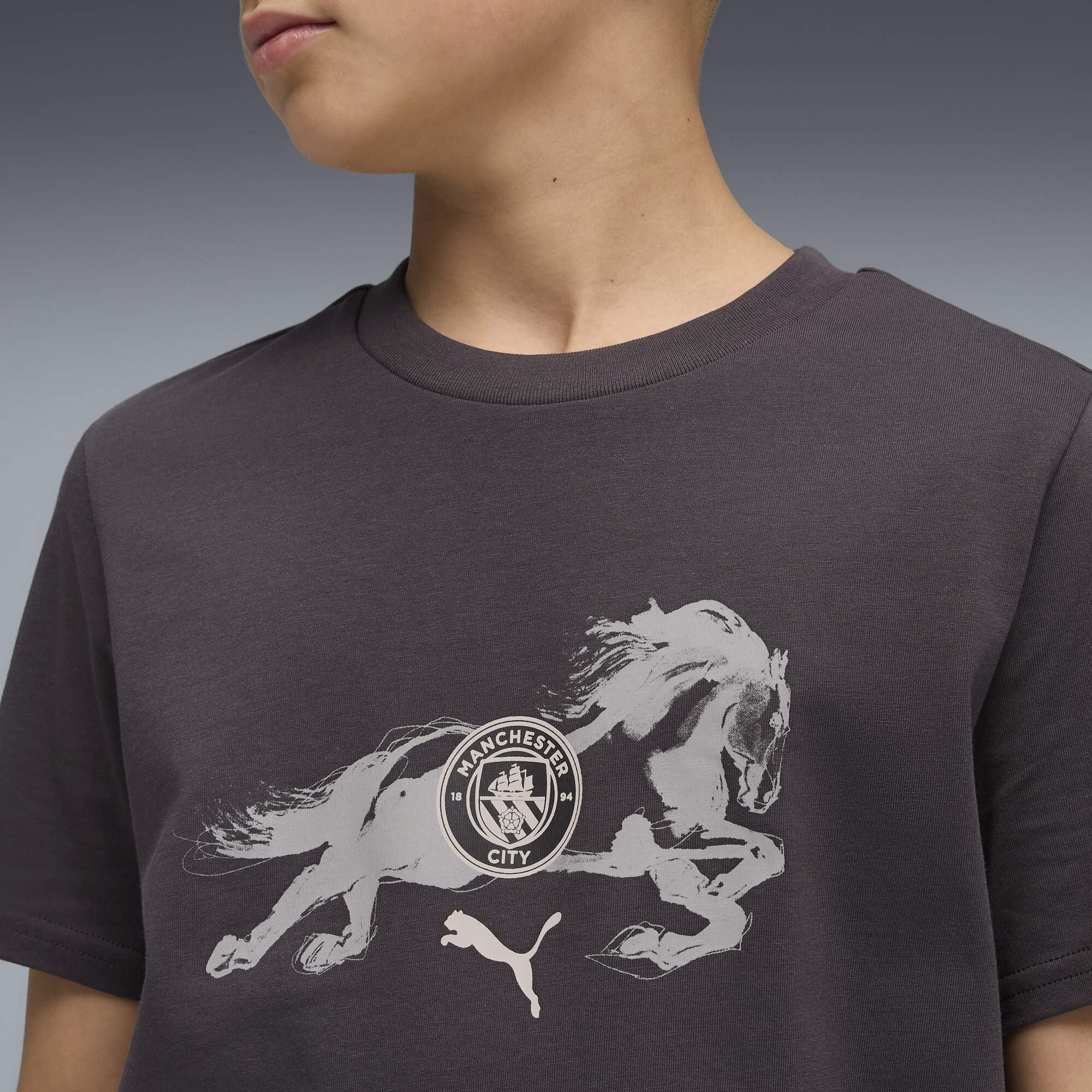 PUMA Manchester City x Year of the Horse T-shirt, Grijs, Maat 15-16Y thumbnail 4