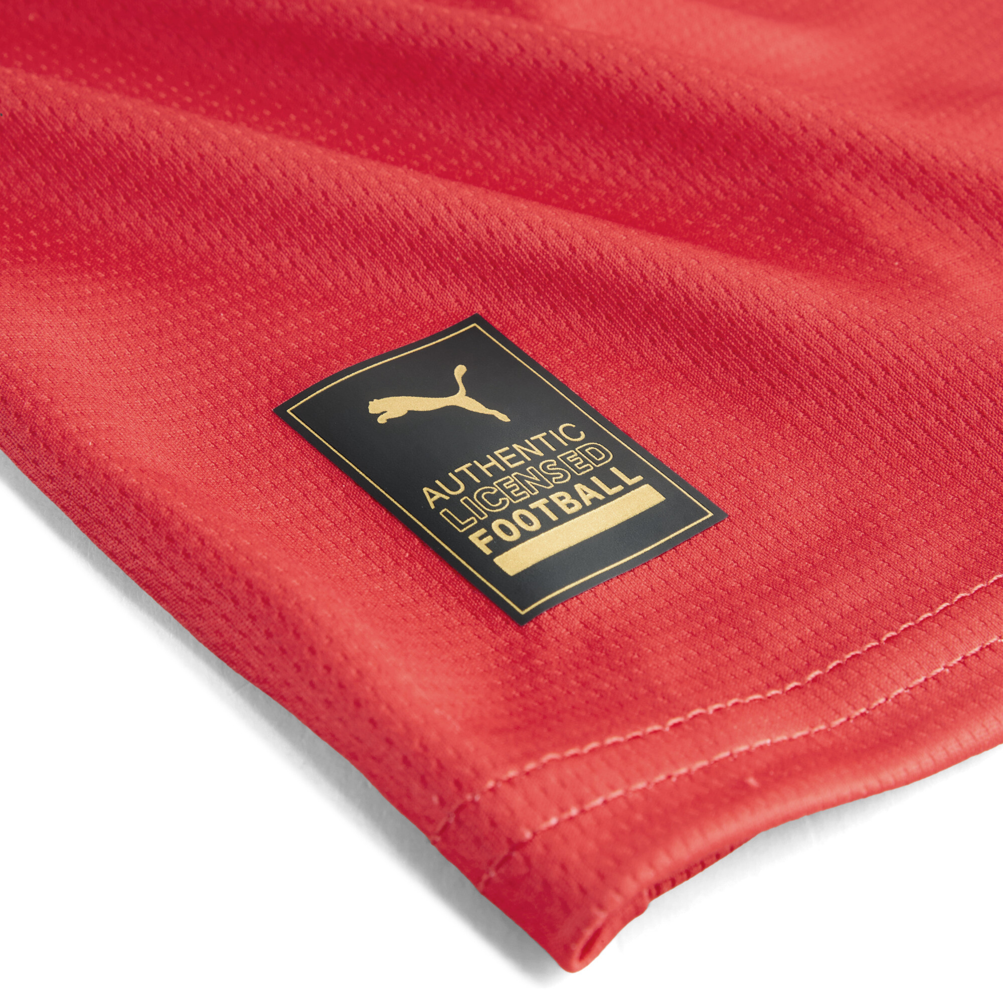 PUMA Holstein Kiel 25/26 uitshirt voor Heren, Blauw/Rood/Wit, Maat L thumbnail 3