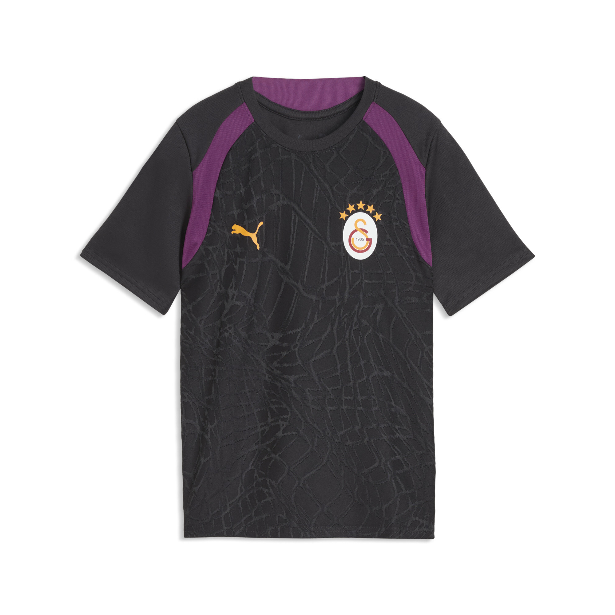 PUMA Galatasaray SK Maillot dentranement Enfant et Adolescent Accessoires Gris 7-8Y 45 €