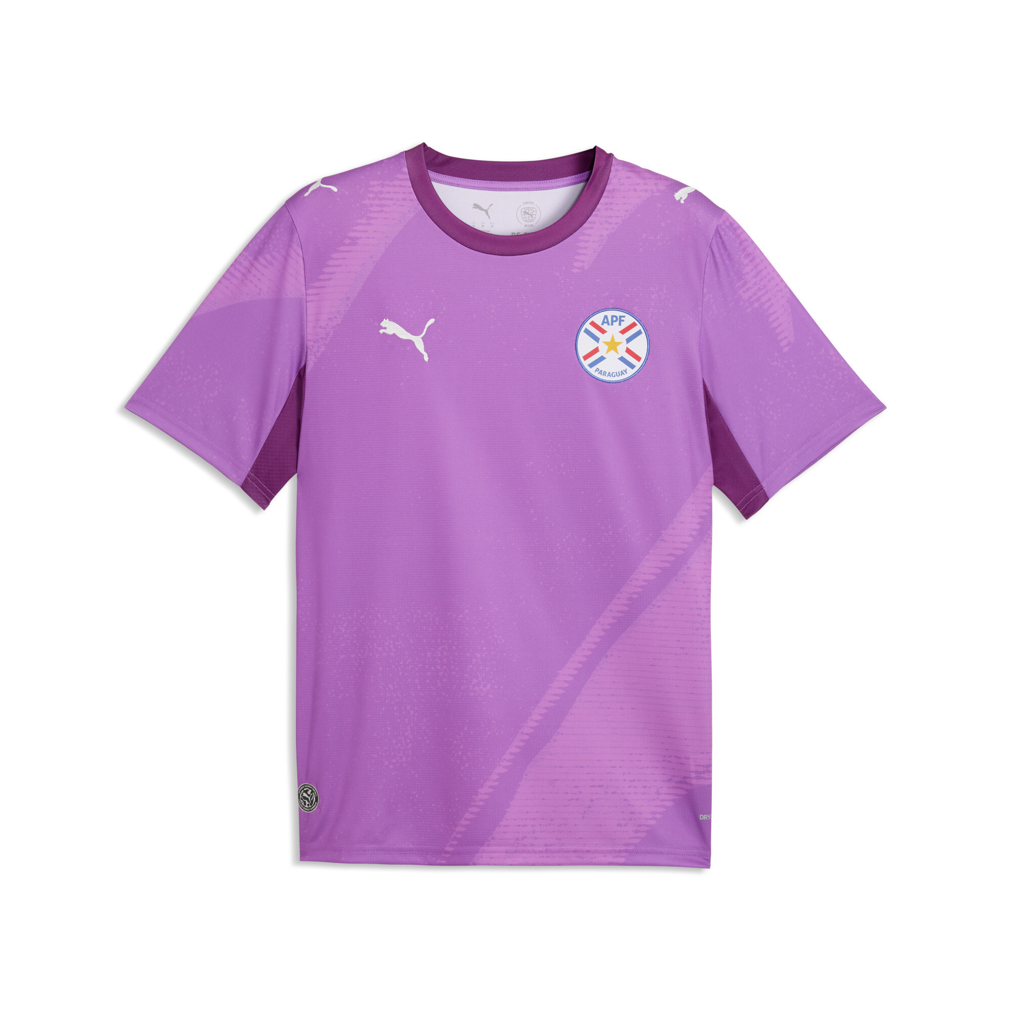 Maillot de gardien de but PUMA x PARAGUAY x SALEHE BEMBURY Homme Accessoires