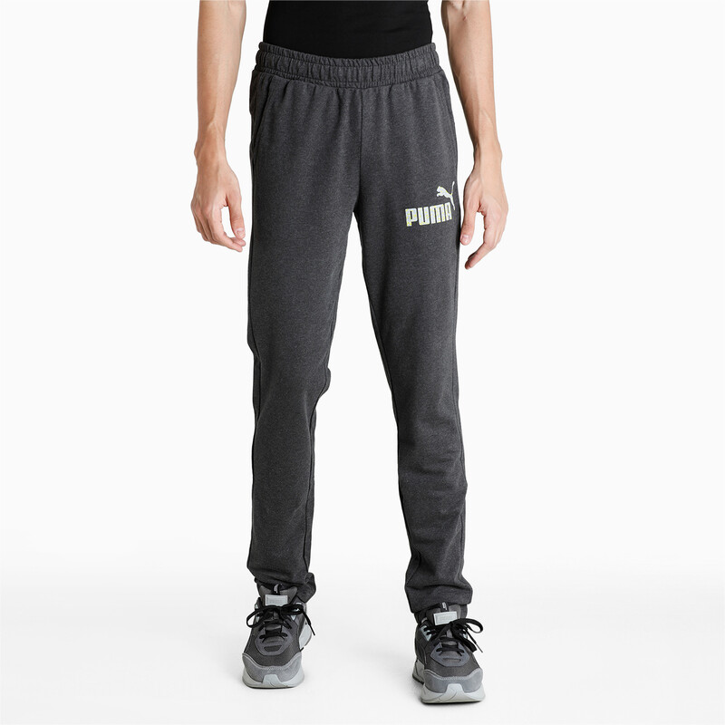 

Men's PUMA Graphic Slim Fit Pants, Gray