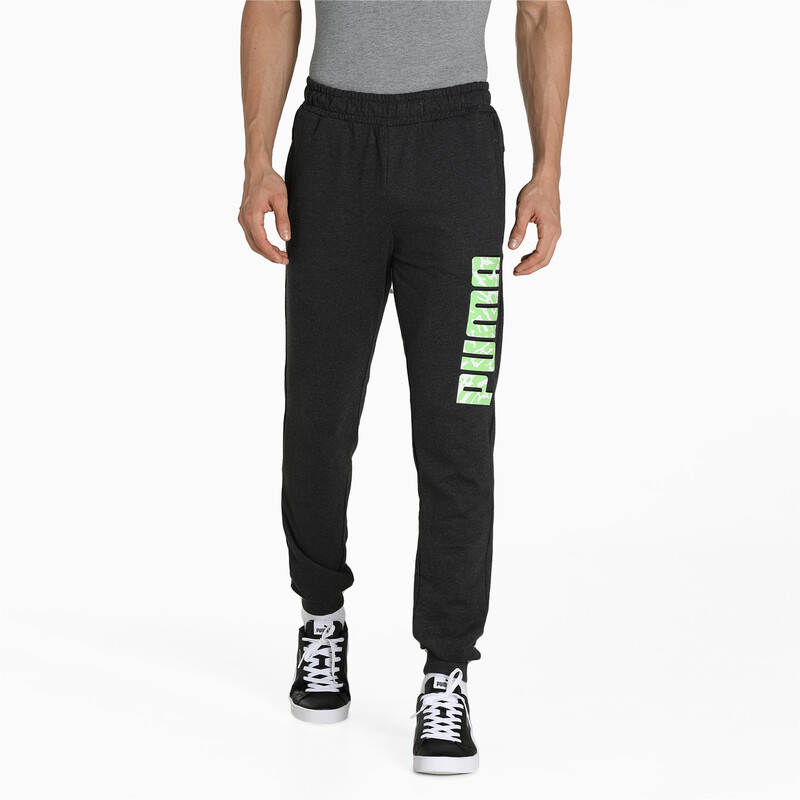 

Men's PUMA Graphic Slim Fit Pants, Gray