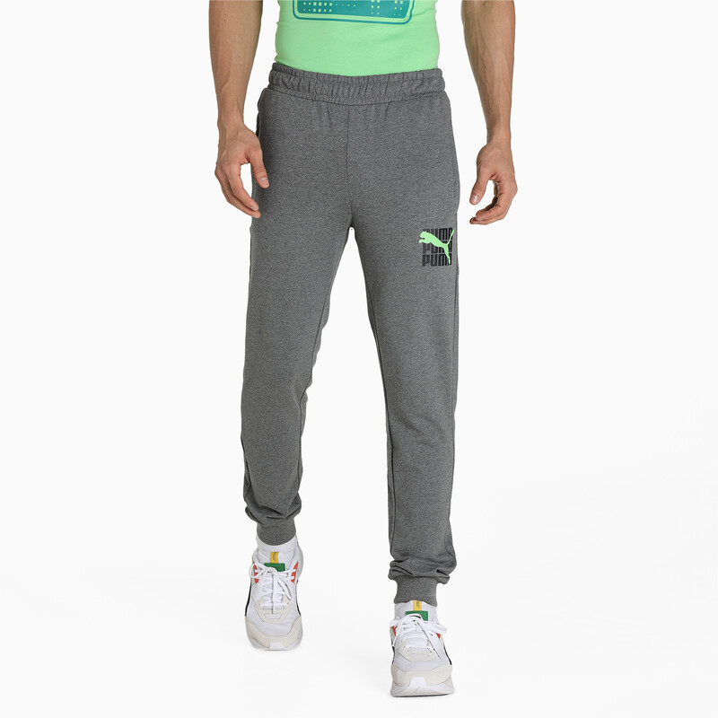 

Men's PUMA Graphic Slim Fit Pants, Gray