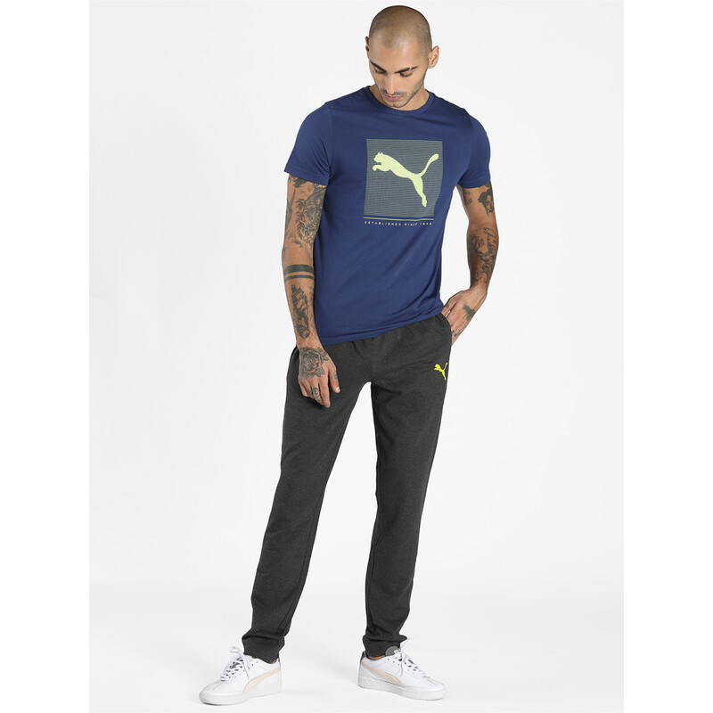 

Men's PUMA Graphic Slim Fit Pants, Gray