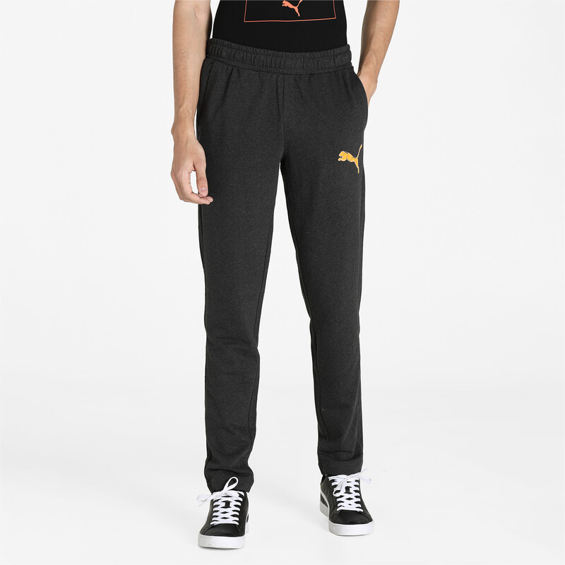Men's PUMA Graphic Slim Fit Pants, Gray