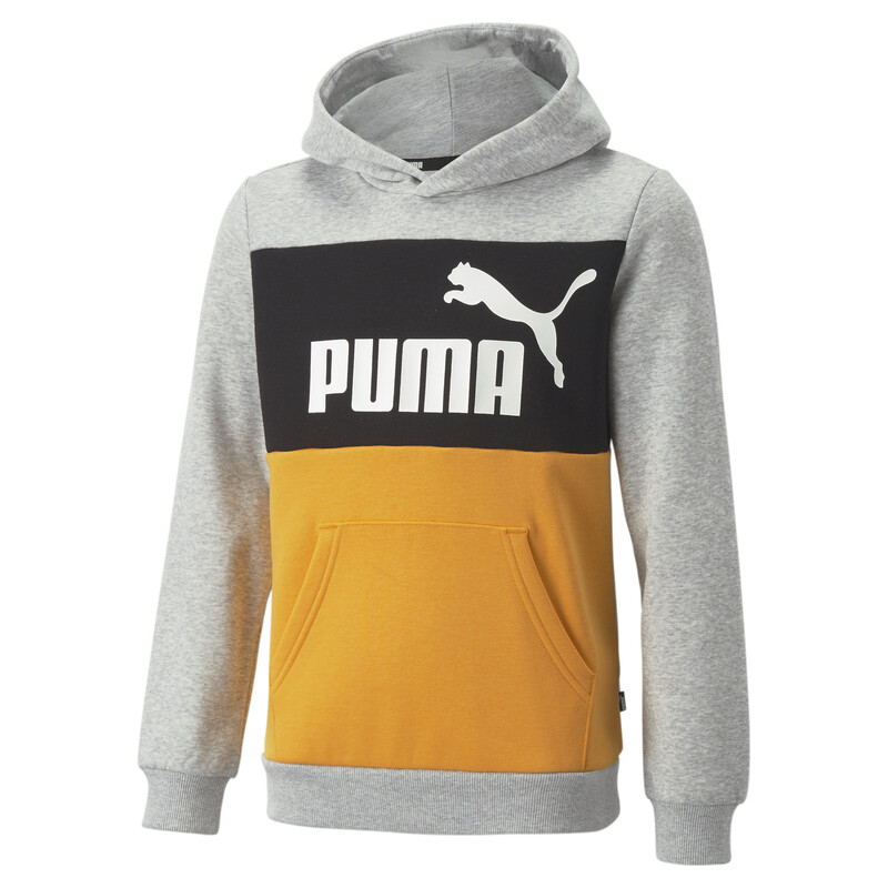 

PUMA Essentials+ Colourblock Youth Hoodie, Gray
