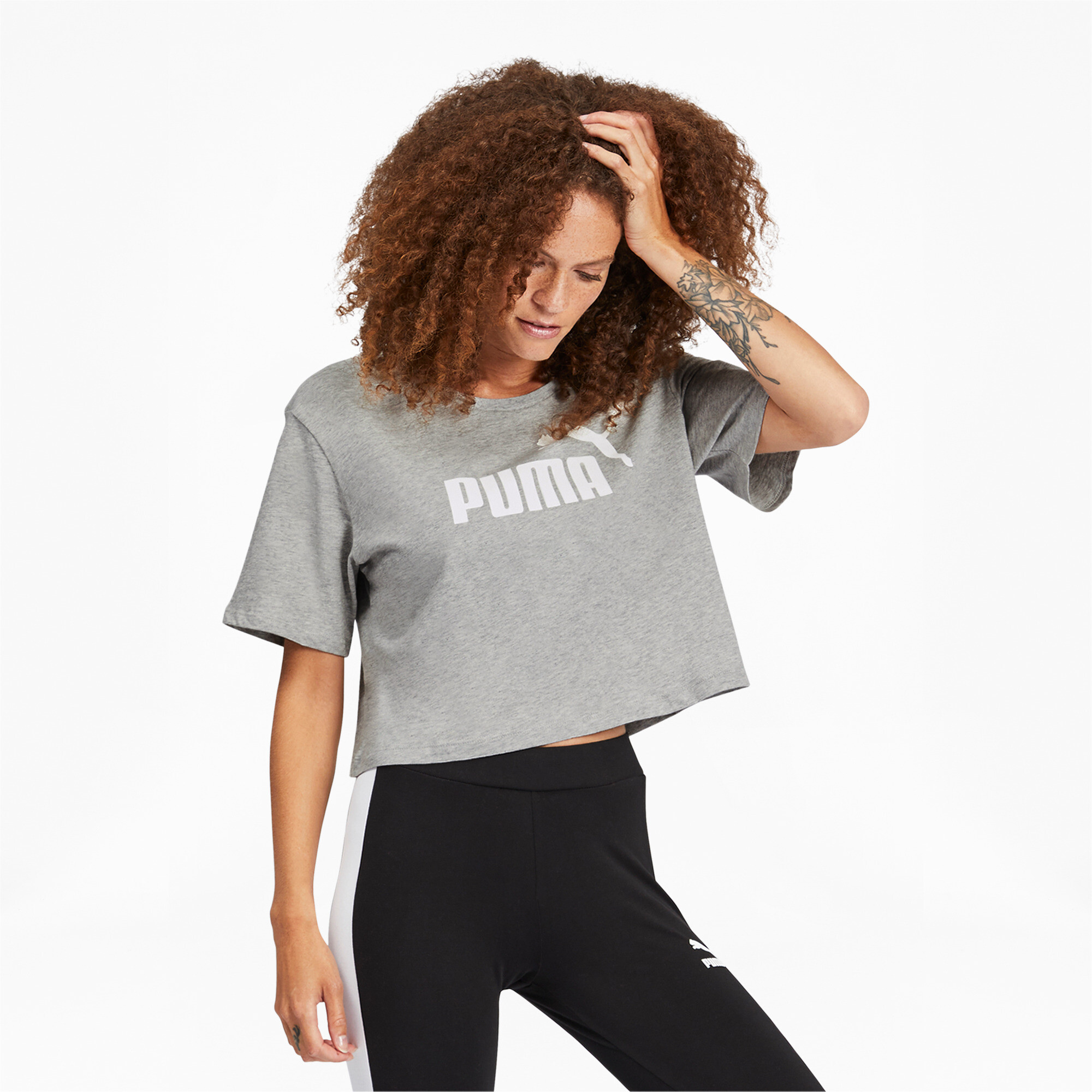 cropped puma