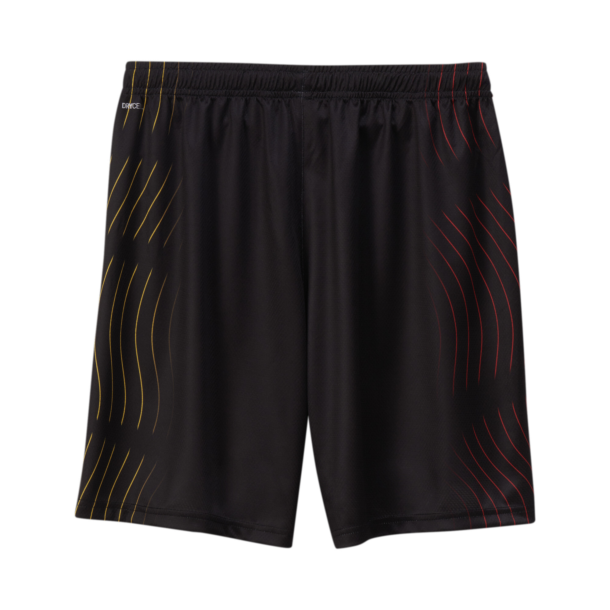 Men's Puma DHB's Handball Shorts, Black, Size L, Clothing