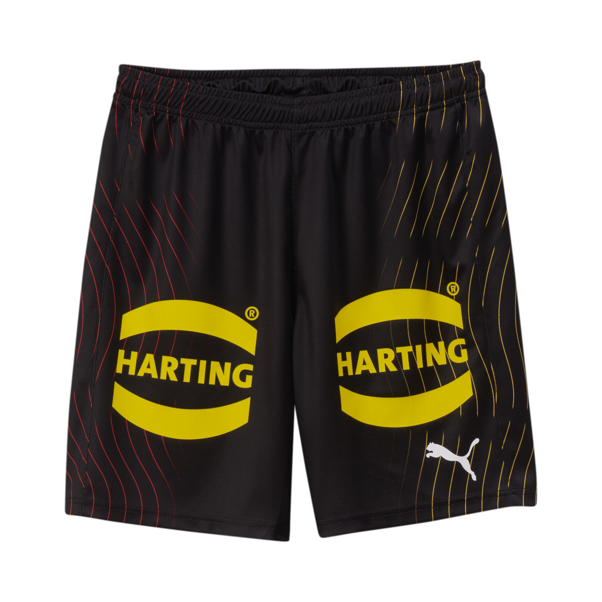 Men's Puma DHB's Handball Shorts, Black, Size L, Clothing