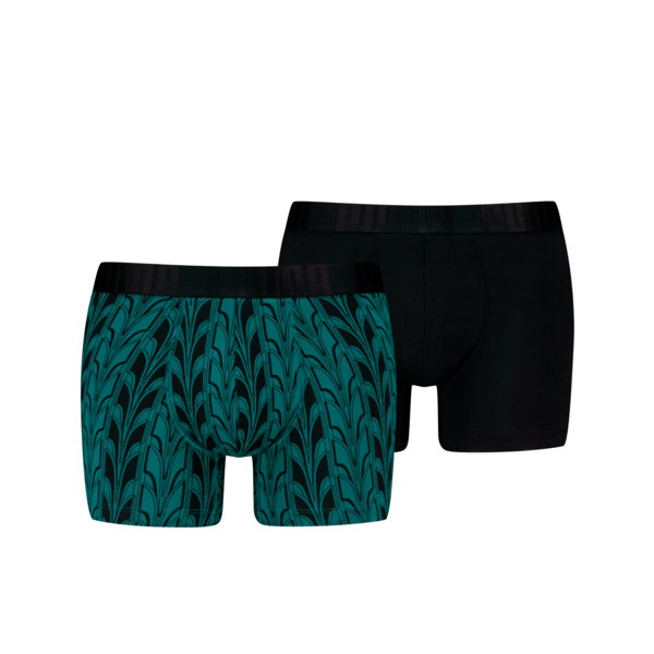 PUMA Men's Terrace Print Boxer Briefs 2 pack, Sea Green, large-MEX