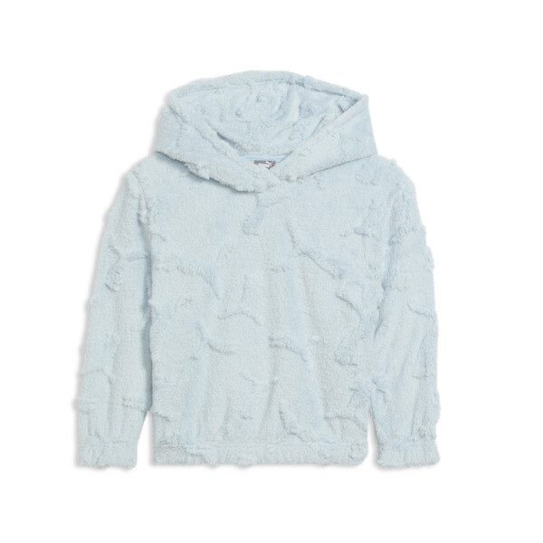 Puma Embossed Logo Little Kids' Hoodie In Frosted Dew