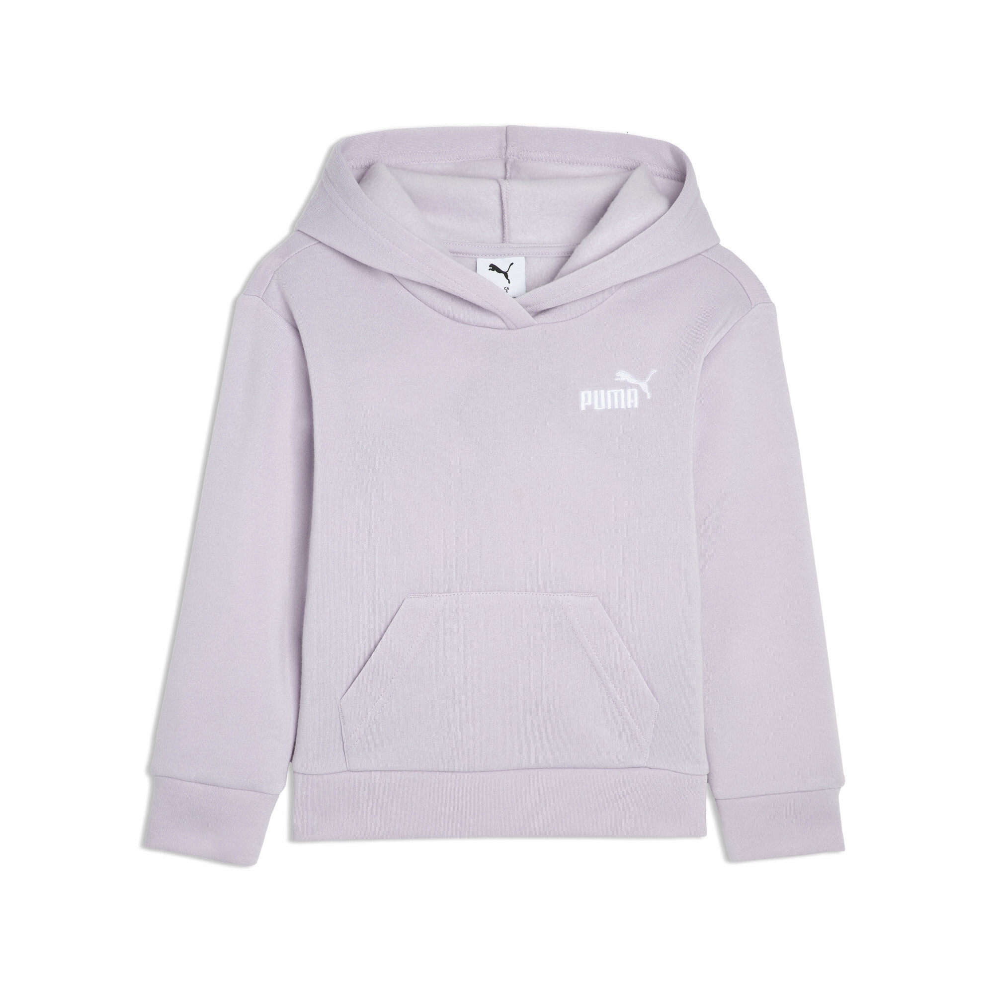 Puma Basic Essentials Little Kids' Hoodie In Purple